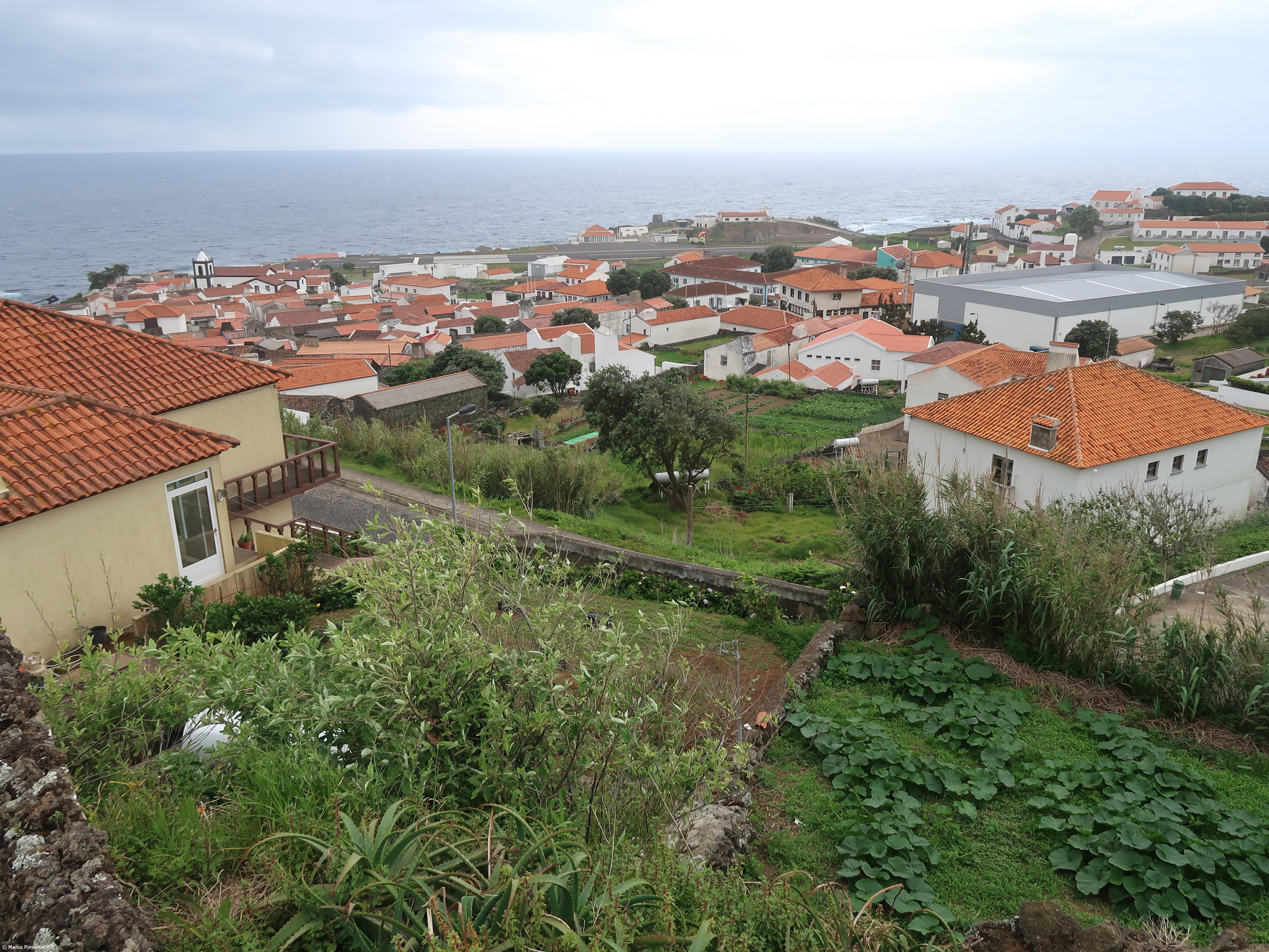 PS alerta que alimentação de inverno do gado no Corvo pode estar "comprometida" – Imagem 1