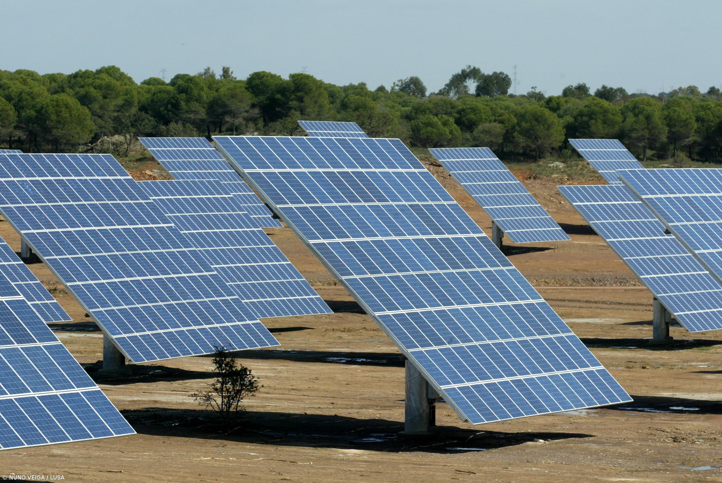 WWF pede medidas "ambiciosas" para atingir 100% de energia renovável em 2050    – Imagem 1