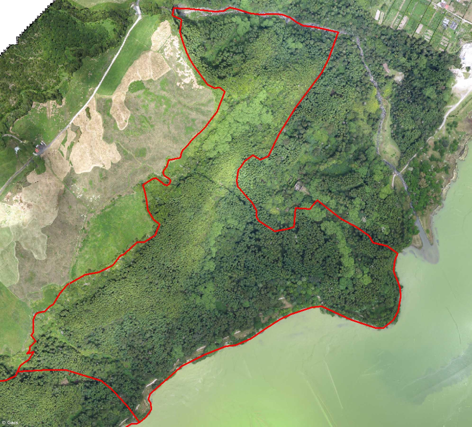 Governo dos Açores lança concurso público para instalação de parque de arvorismo nas Furnas – Imagem 1
