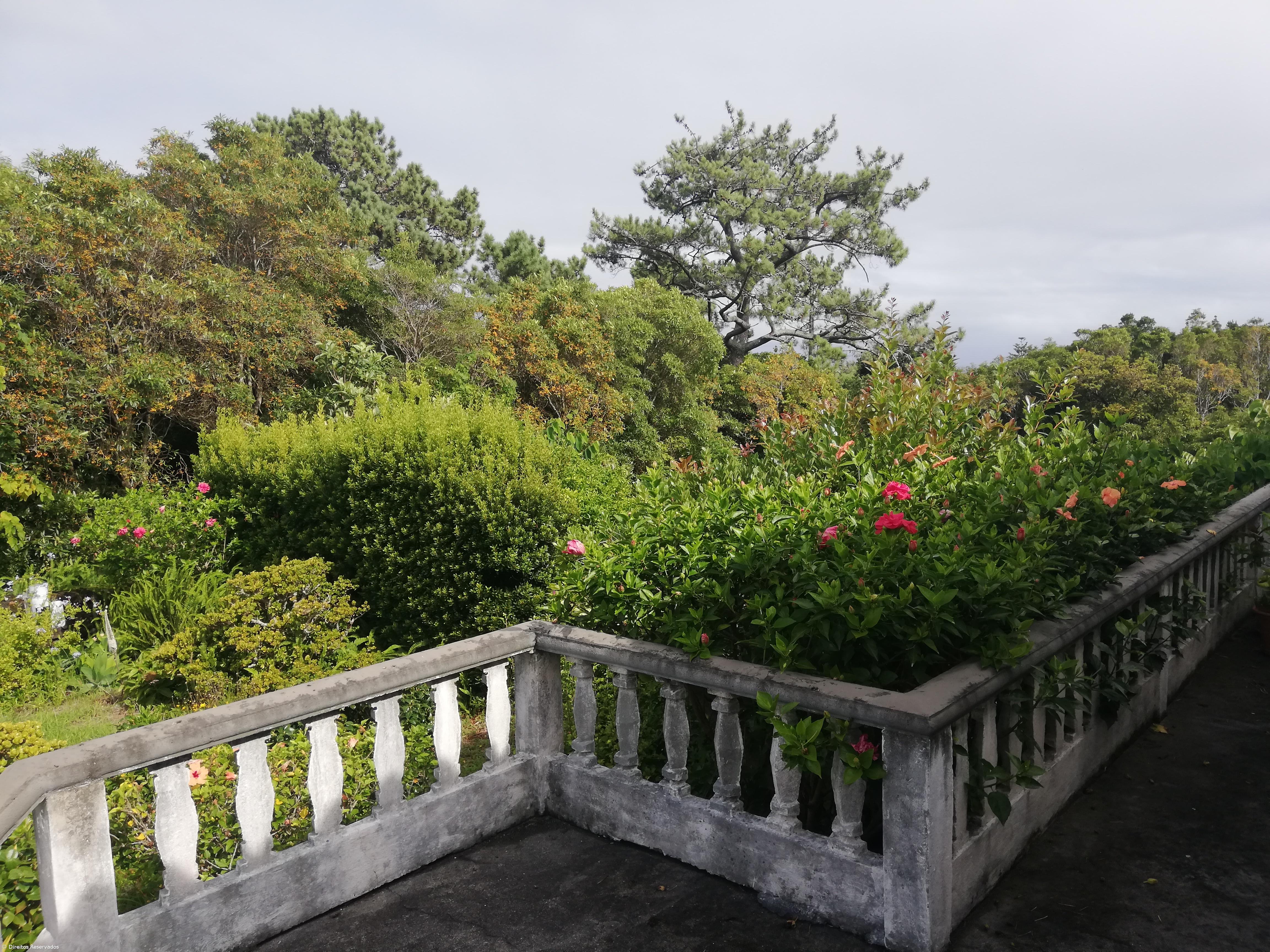 Almeida Firmino E o poeta,  ainda existe? – Imagem 4