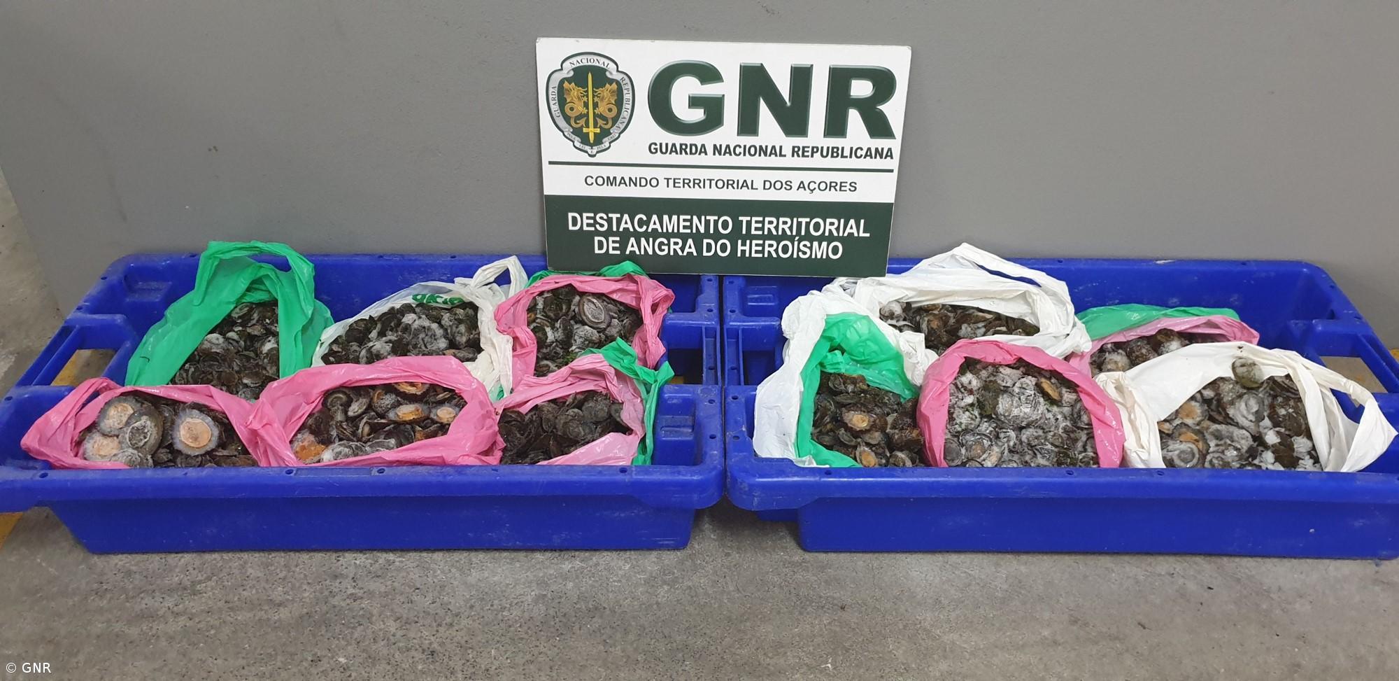 GNR apreende 23 quilos de lapas vendidas sem documentos de proveniência – Imagem 1