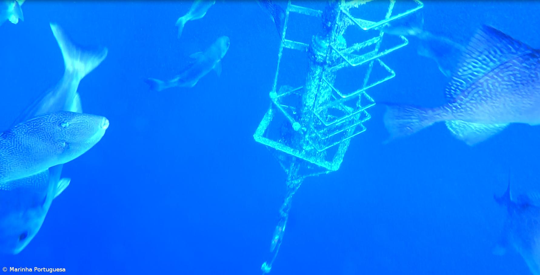 Marinha Portuguesa recupera equipamento oceanográfico norte-americano nos Açores – Imagem 4