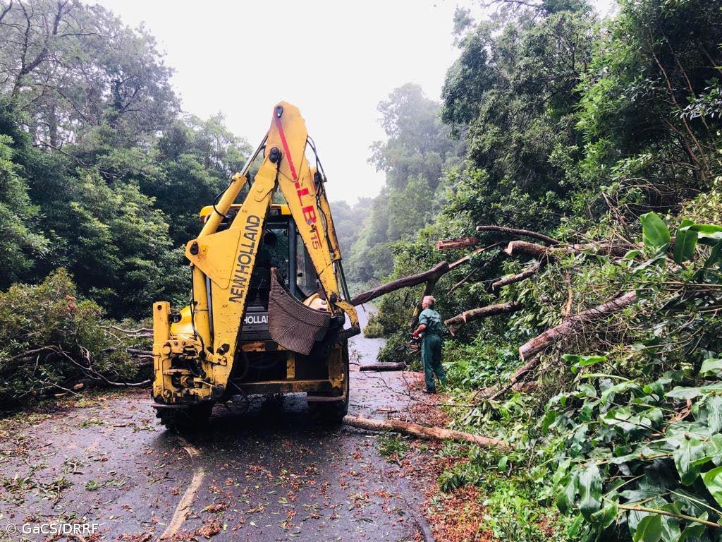 Mais de 150 meios humanos da Direção Regional dos Recursos Florestais estão no terreno a desobstruir caminhos   – Imagem 1