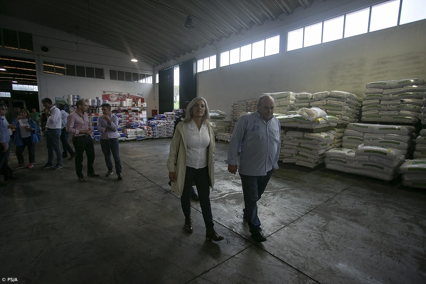 Governo do PS vai defender produtores de leite – Imagem 1