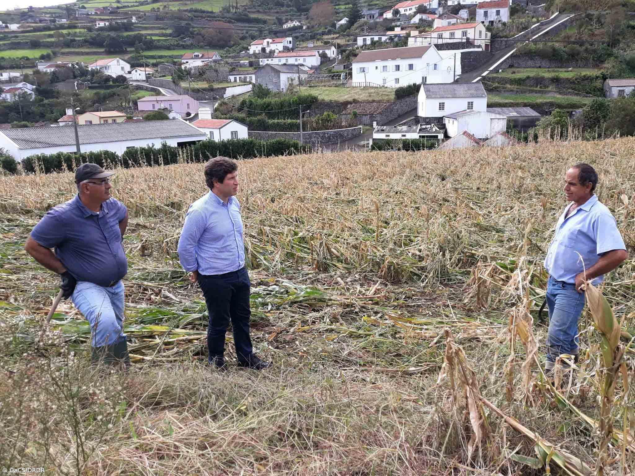 Governo dos Açores empenhado em minimizar prejuízos aos agricultores afetados pelo furacão Lorenzo   – Imagem 1