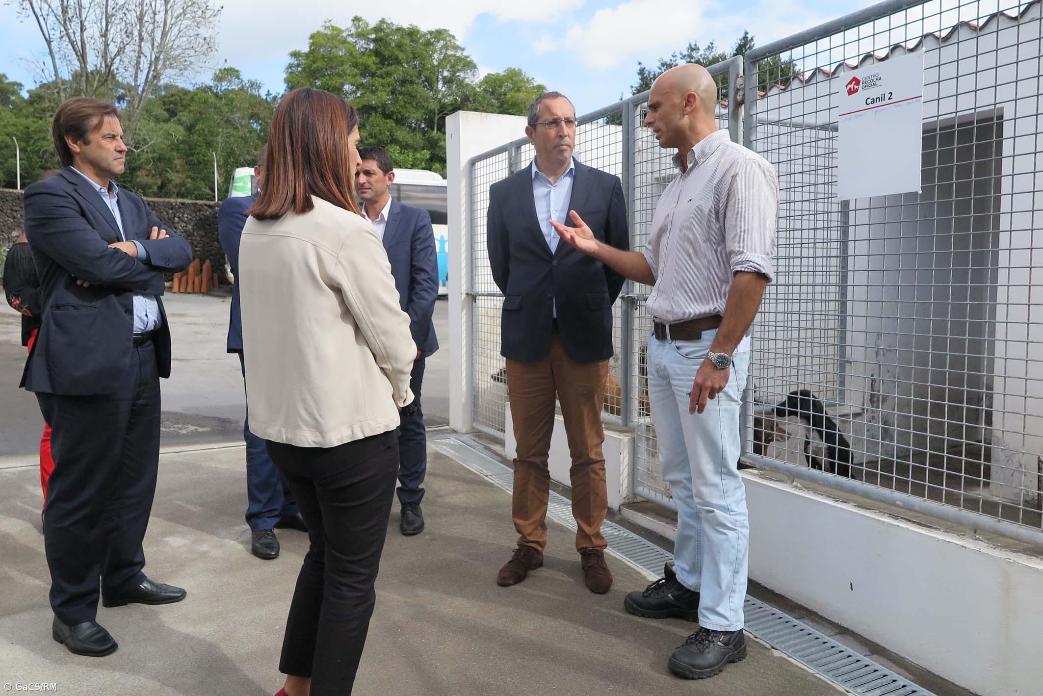 Apoios à esterilização de animais errantes chega a todos os municípios – Imagem 1