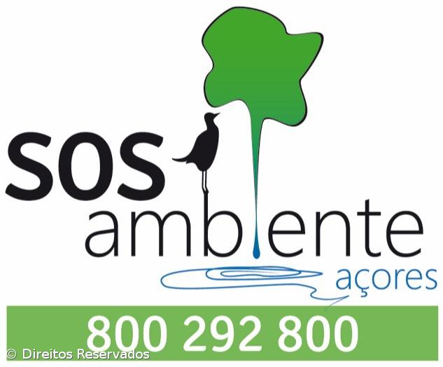 Linha SOS Ambiente nos Açores com 1.500 chamadas desde janeiro de 2018 – Imagem 1