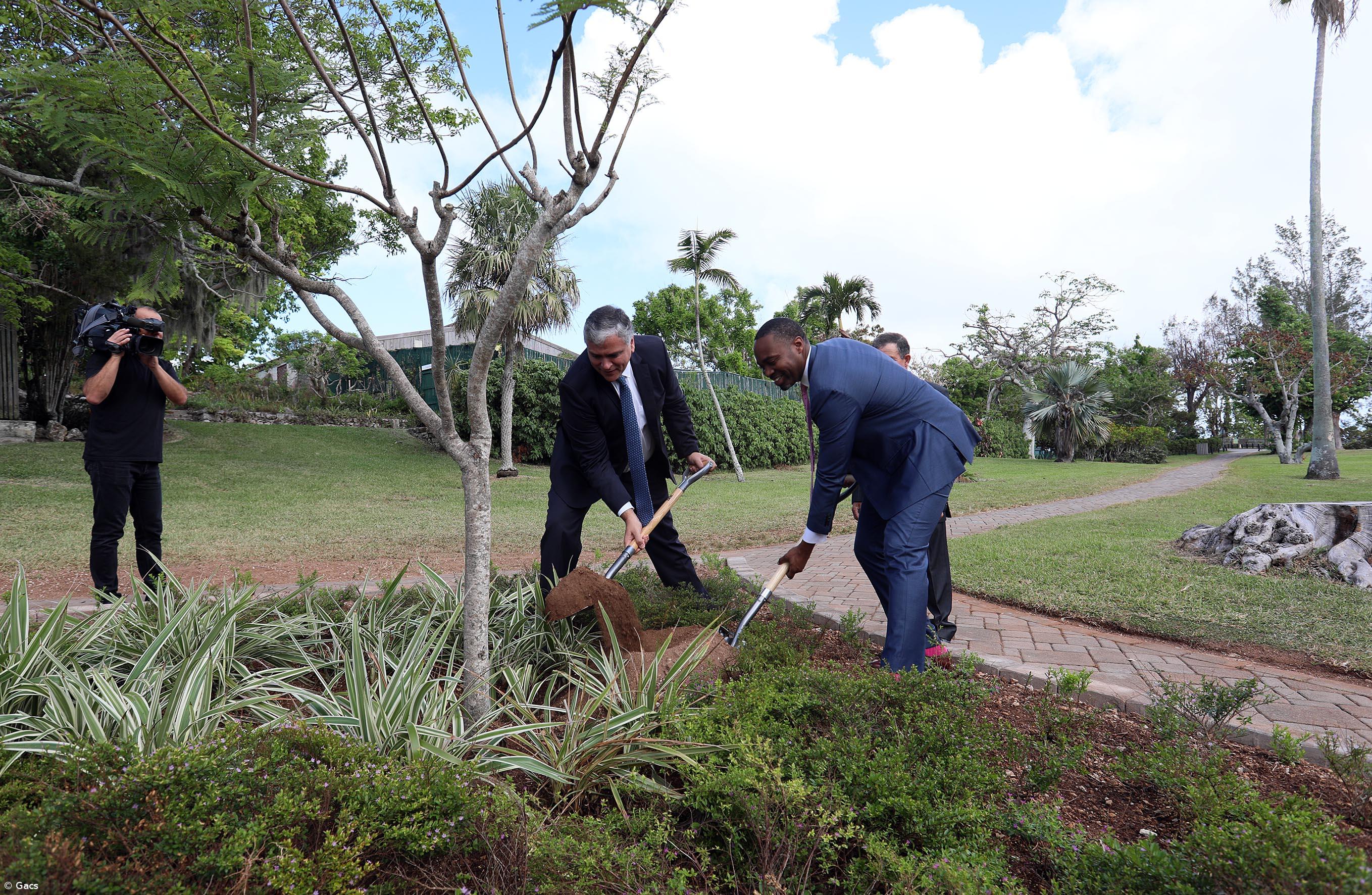 AIR Centre pode potenciar reforço de relações entre Açores e Bermuda – Imagem 1
