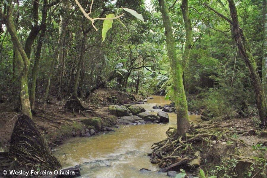 Quercus apresenta proposta de "condomínio" para a Terra – Imagem 1