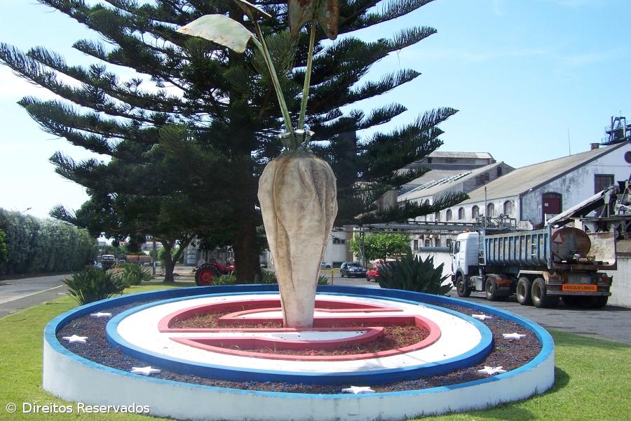 Governo dos Açores concede aval a açucareira Sinaga de 1,75 ME – Imagem 1