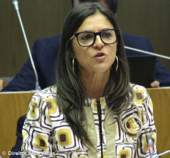 Graça Silveira denuncia “situações lamentáveis” na operação da Azores Airlines de e para a Terceira – Imagem 1