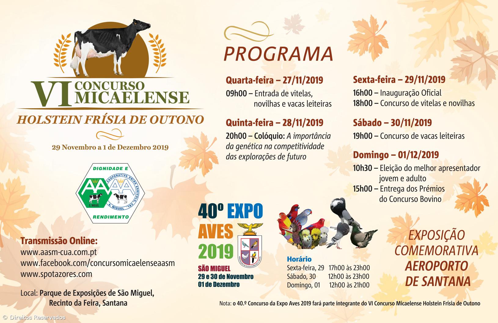 VI Concurso Micaelense da Raça Holstein Frísia de Outono – Imagem 2