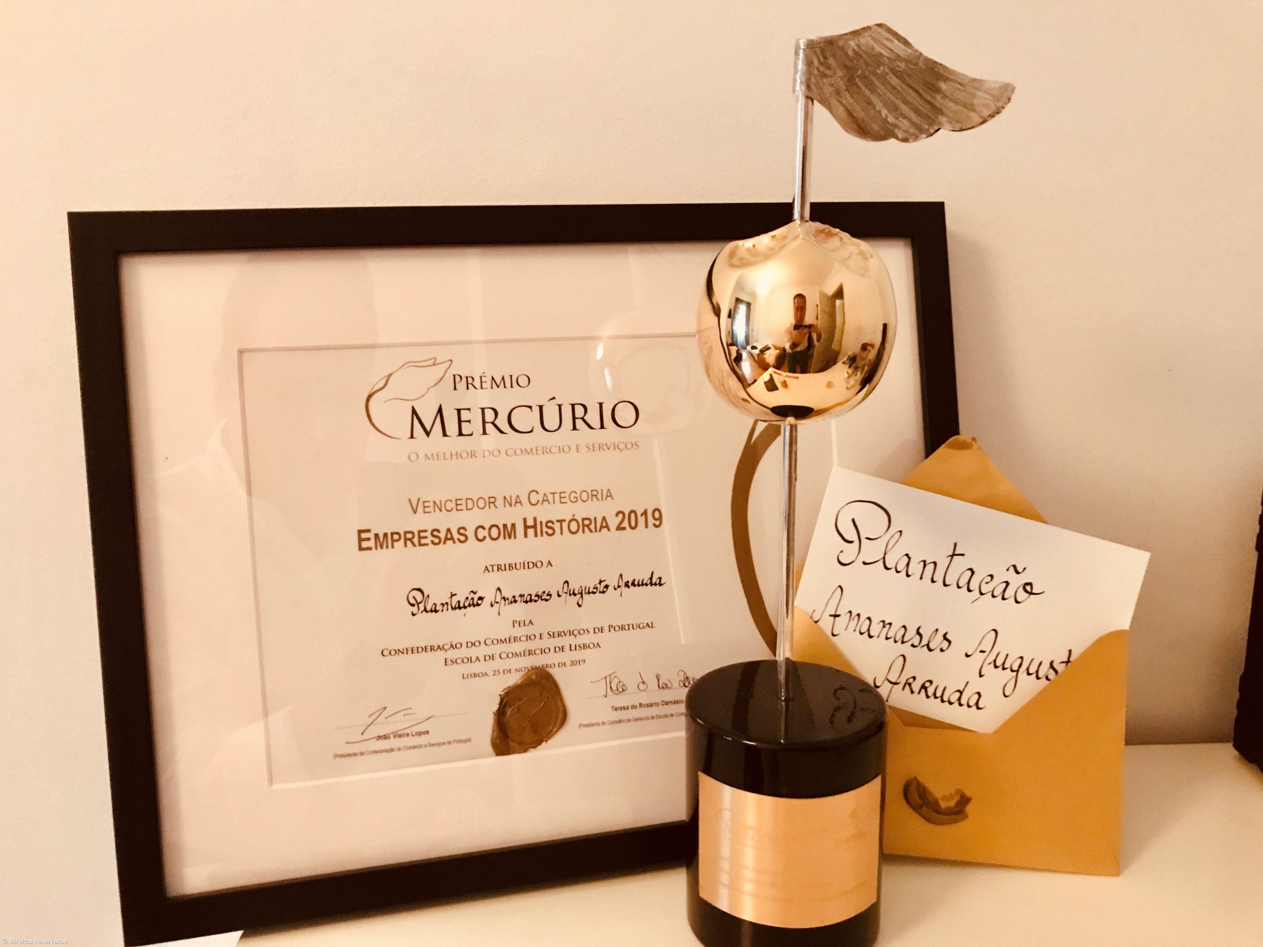 Plantação de Ananases Arruda vence Prémio Mercúrio 2019 – Imagem 1