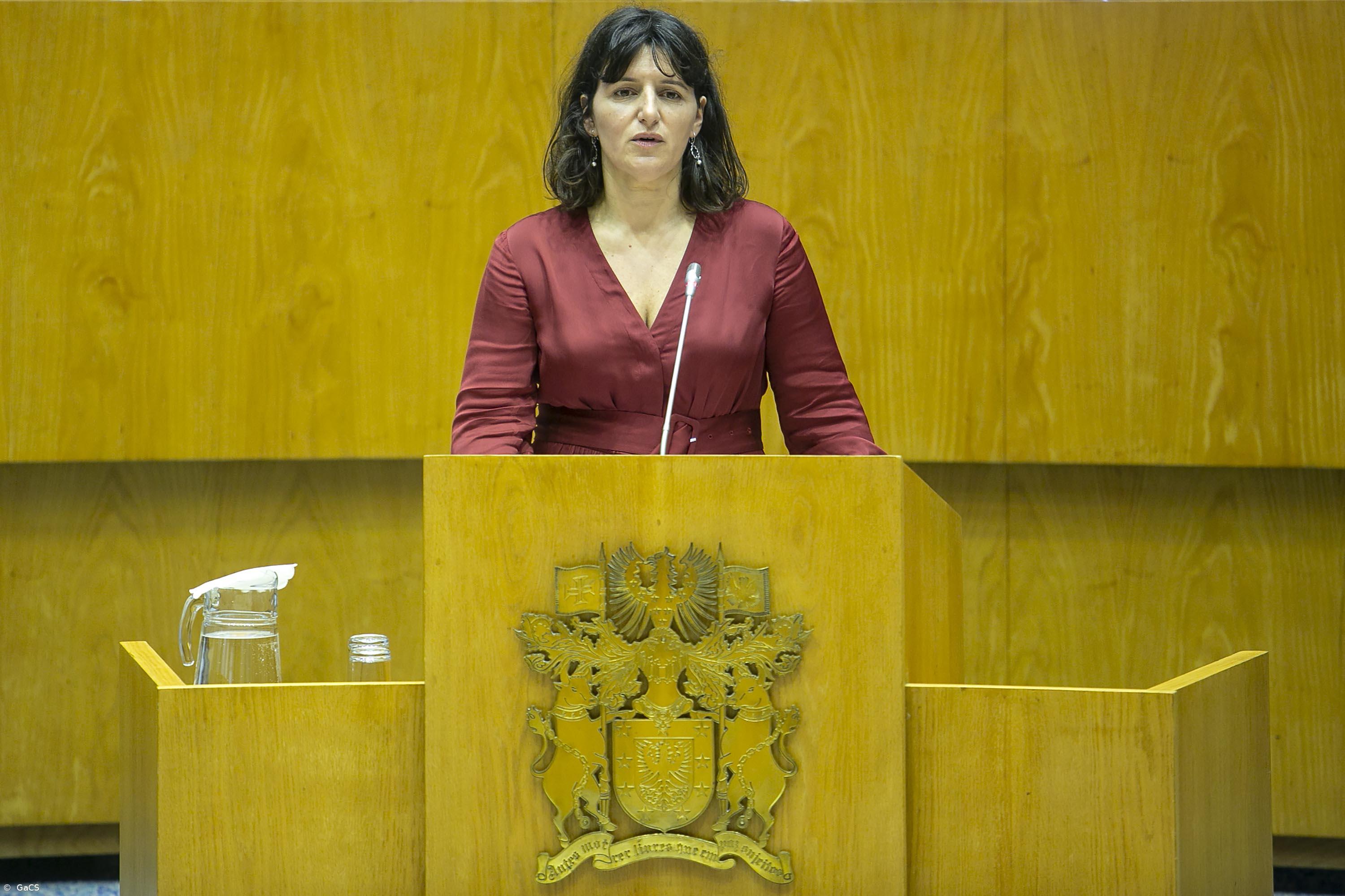 Governo Regional garante "solução intermédia" para porto das Flores até fim do ano – Imagem 1