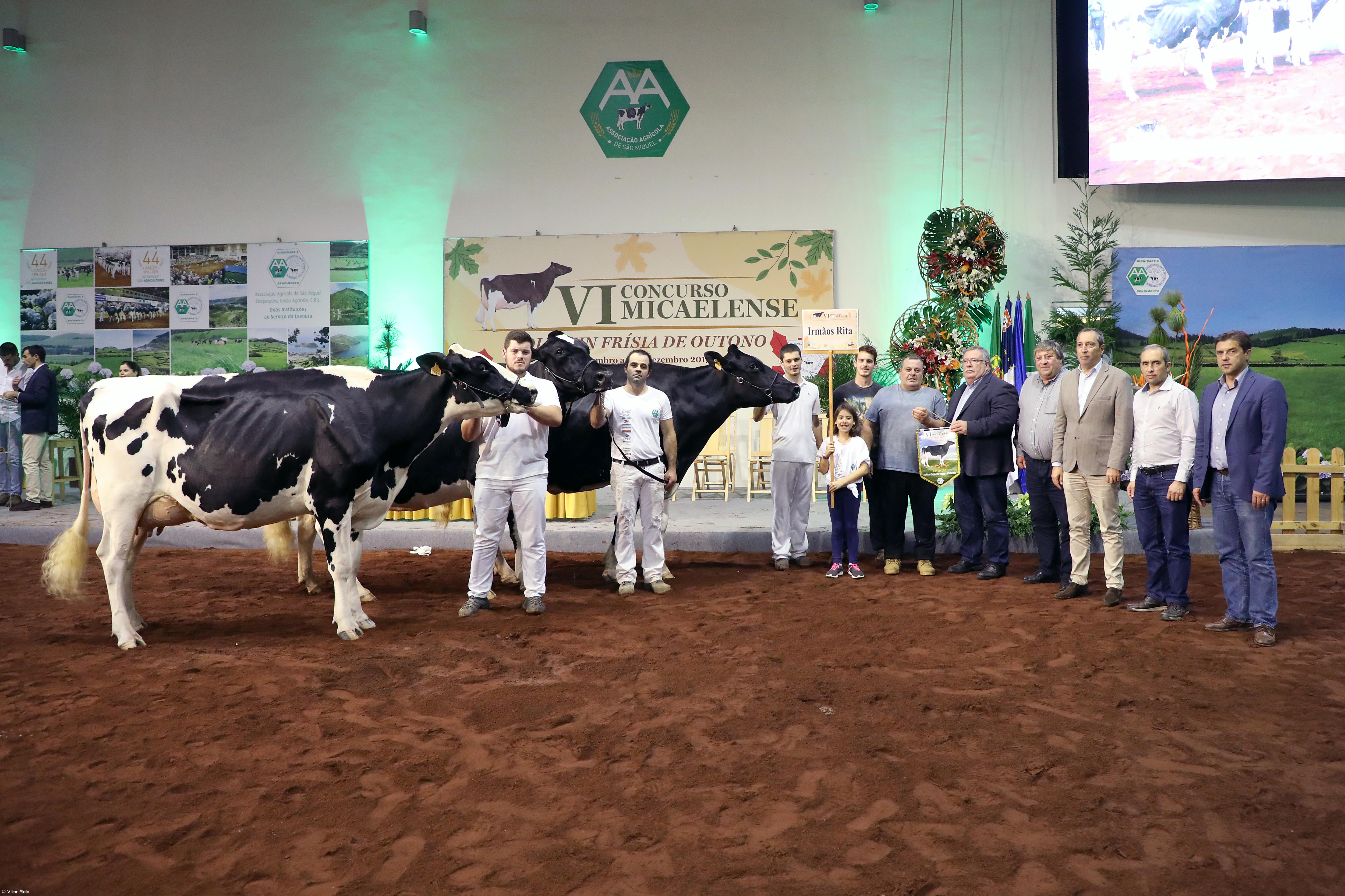 Irmãos Rita foram os grandes vencedores da feira de Outono – Imagem 1