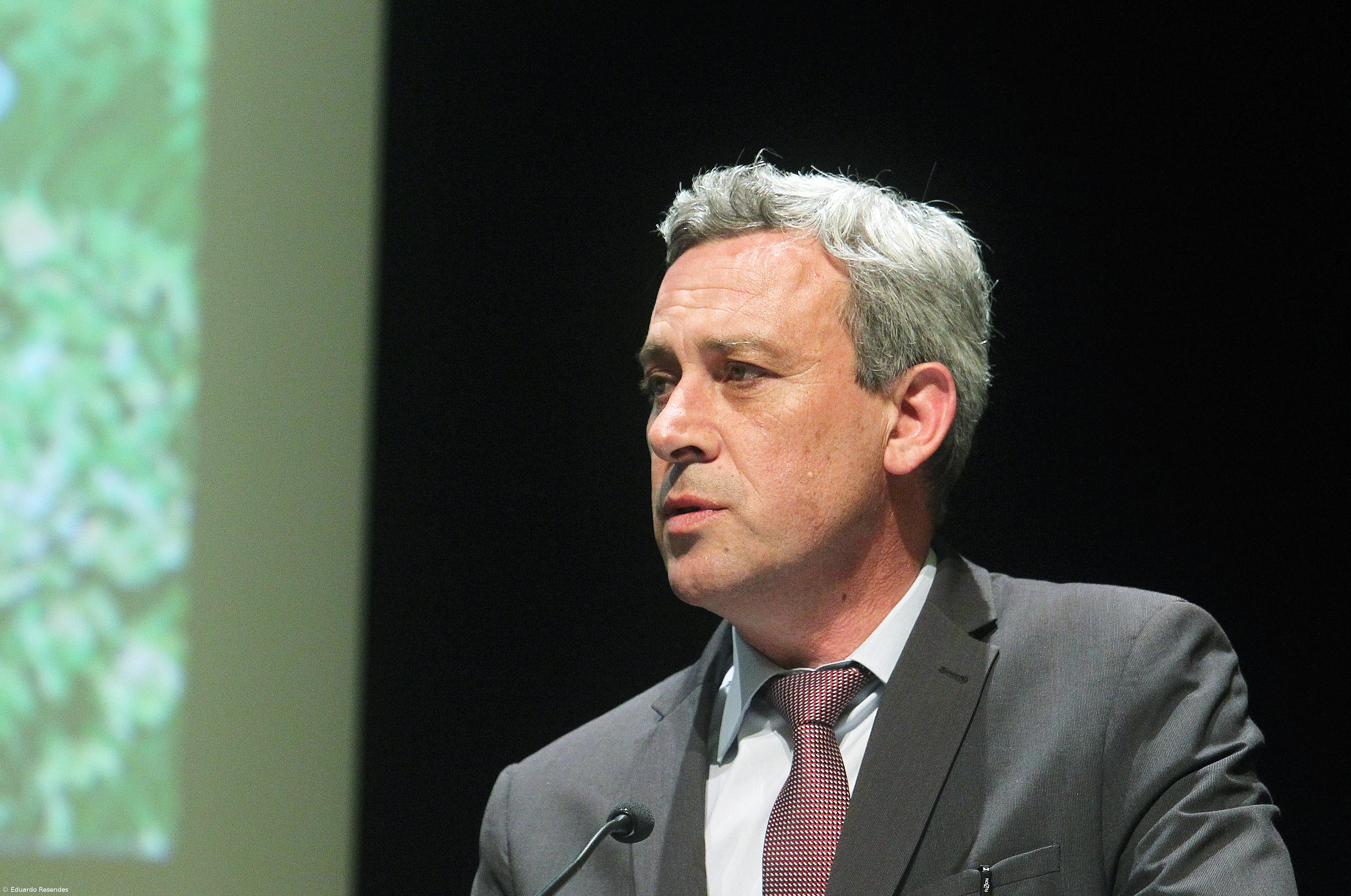 Conselho Regional das Pescas vai debater estratégias de gestão para o setor – Imagem 1