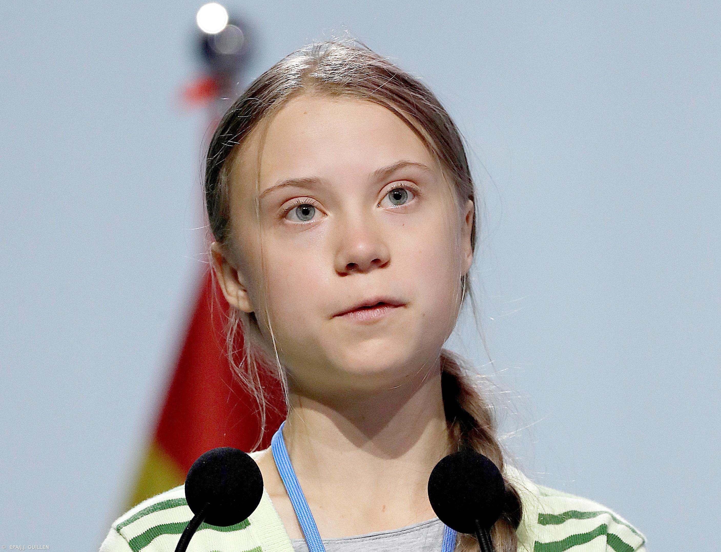 Greta Thunberg doou meio milhão de euros do Prémio Gulbenkian a organizações ambientais – Imagem 1