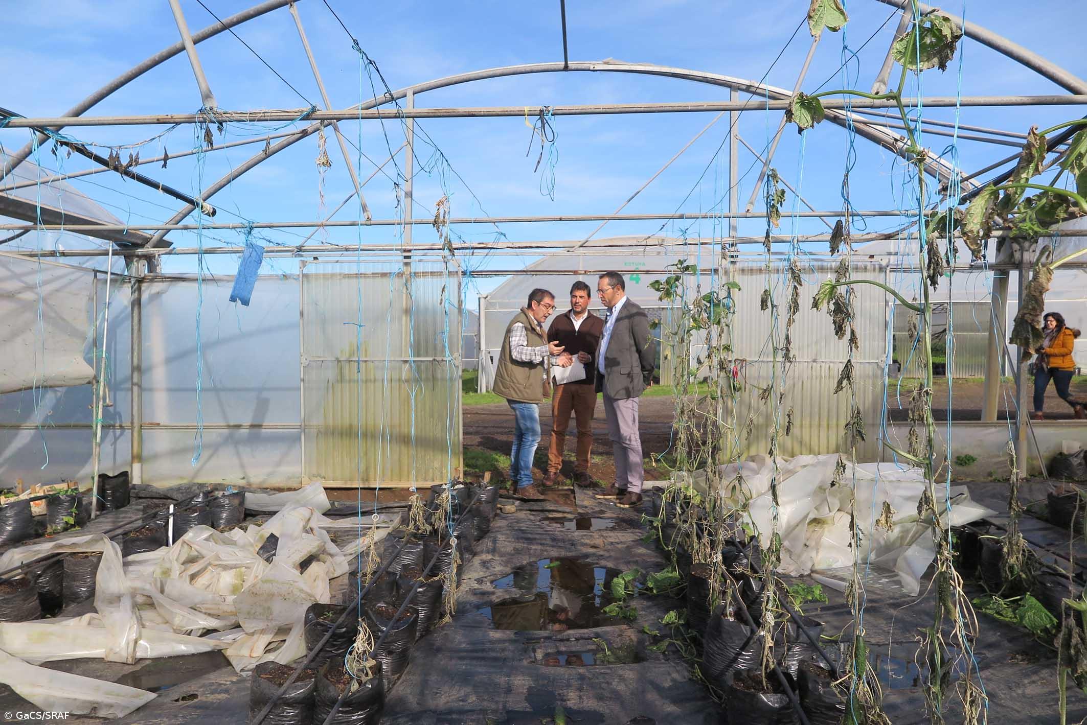 Região reforça meios para reparar caminhos agrícolas – Imagem 1