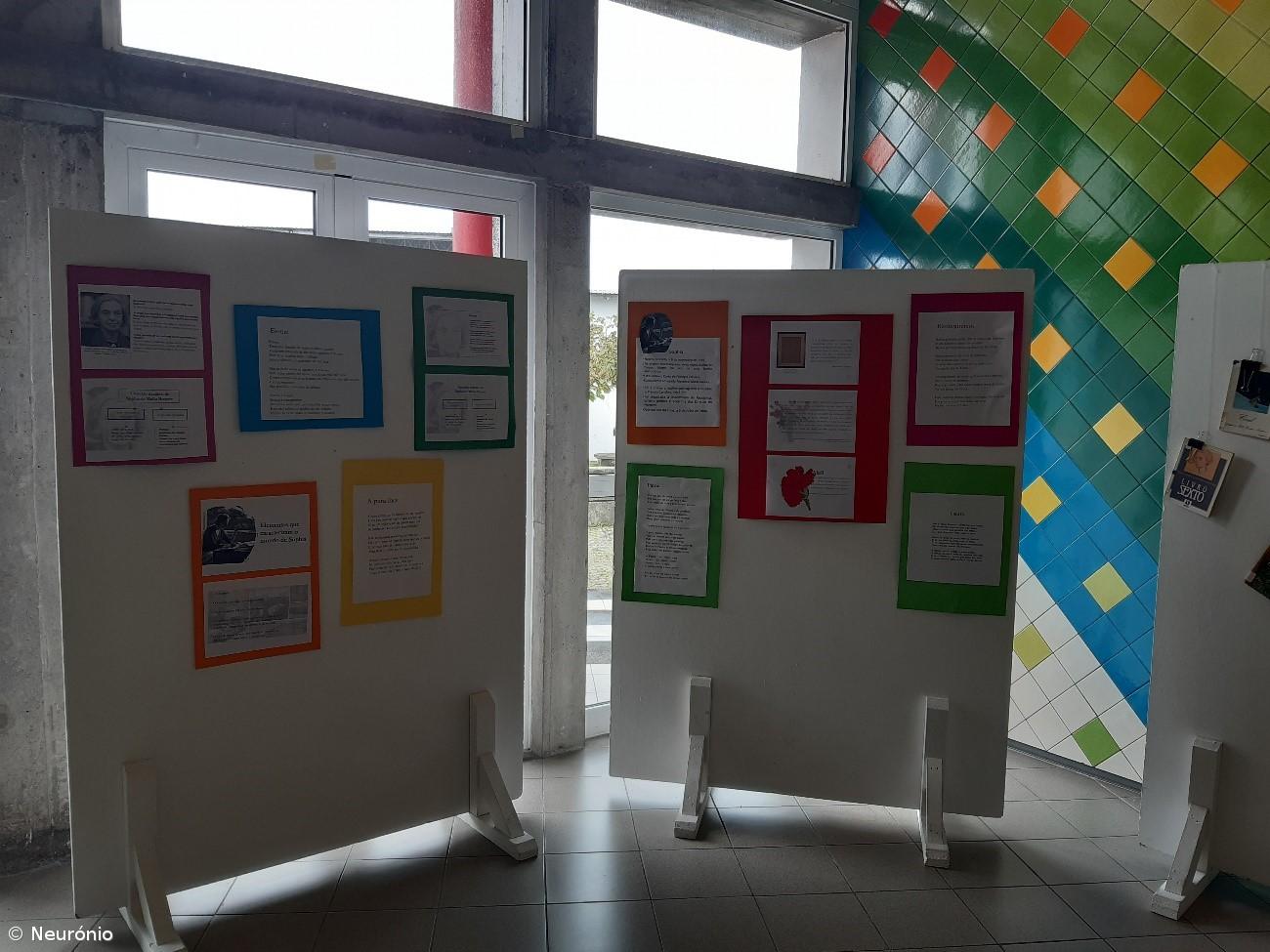 Envolvimento da Comunidade Educativa na semana do aniversário – Imagem 6