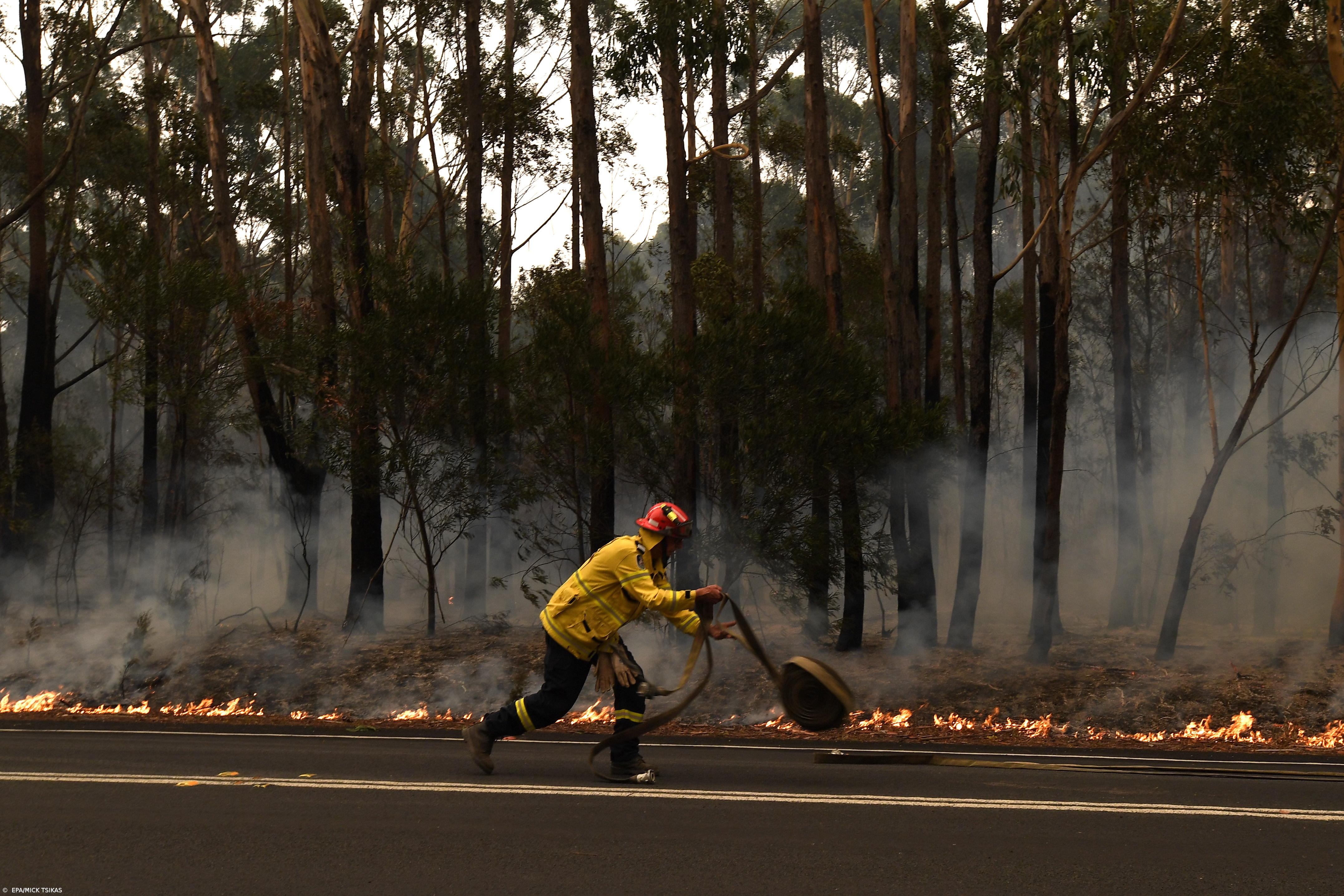 Estado australiano de Vitoria prepara-se para incêndios devastadores – Imagem 1