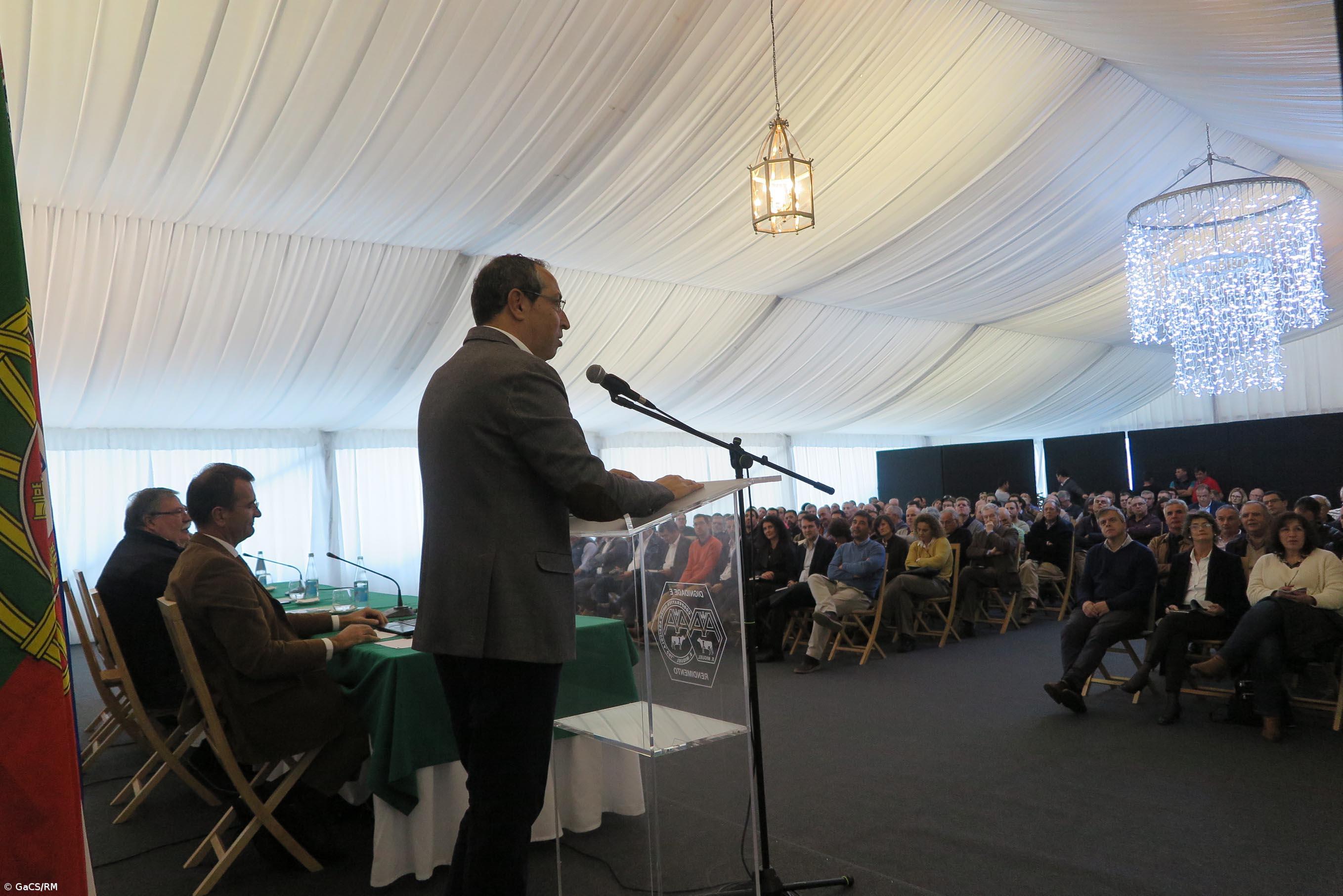 Produtores podem reduzir efetivo bovino sem perder apoios – Imagem 1