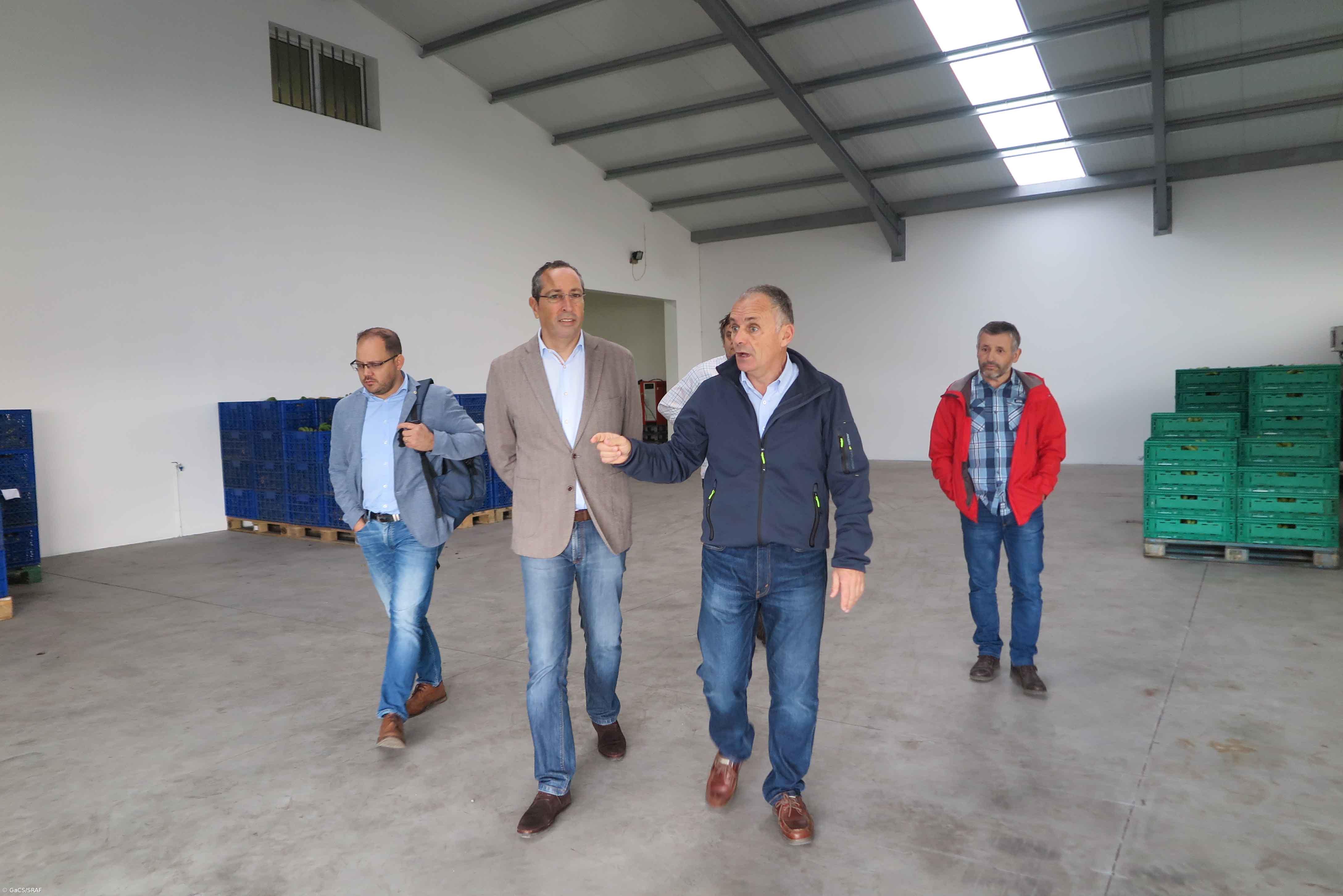 Governo dos Açores quer que banana regional tenha Indicação Geográfica Protegida – Imagem 1