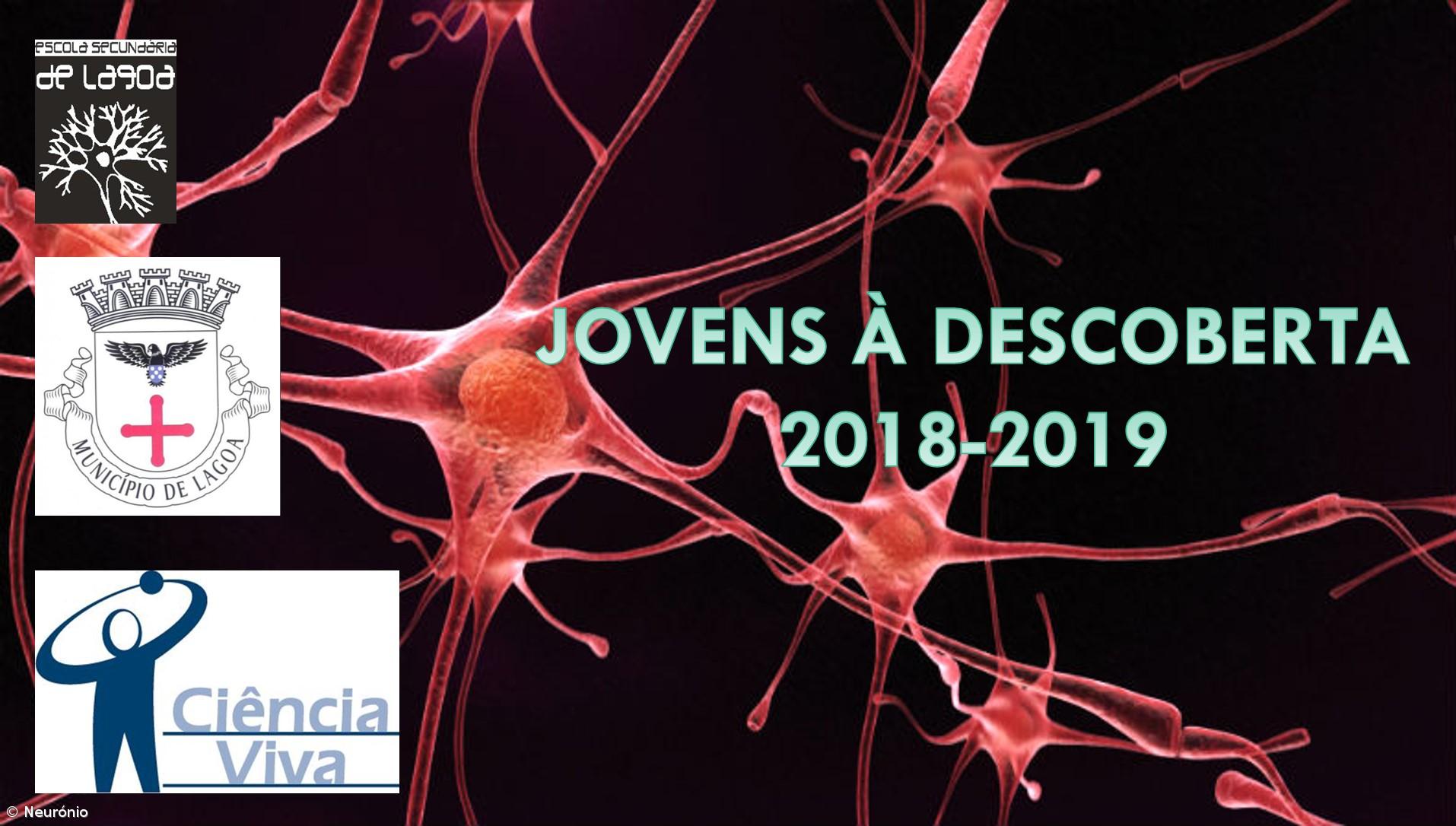 2º lugar no concurso nacional ATG-Ciência Viva – Imagem 5