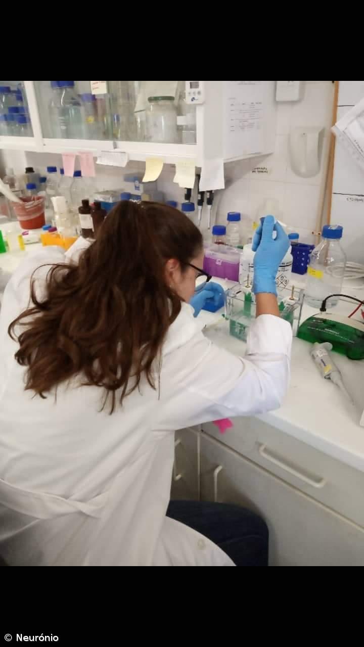 2º lugar no concurso nacional ATG-Ciência Viva – Imagem 6