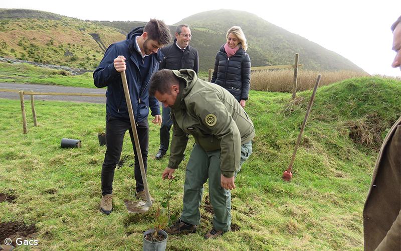 Turistas podem plantar espécies endémicas em áreas protegidas – Imagem 1