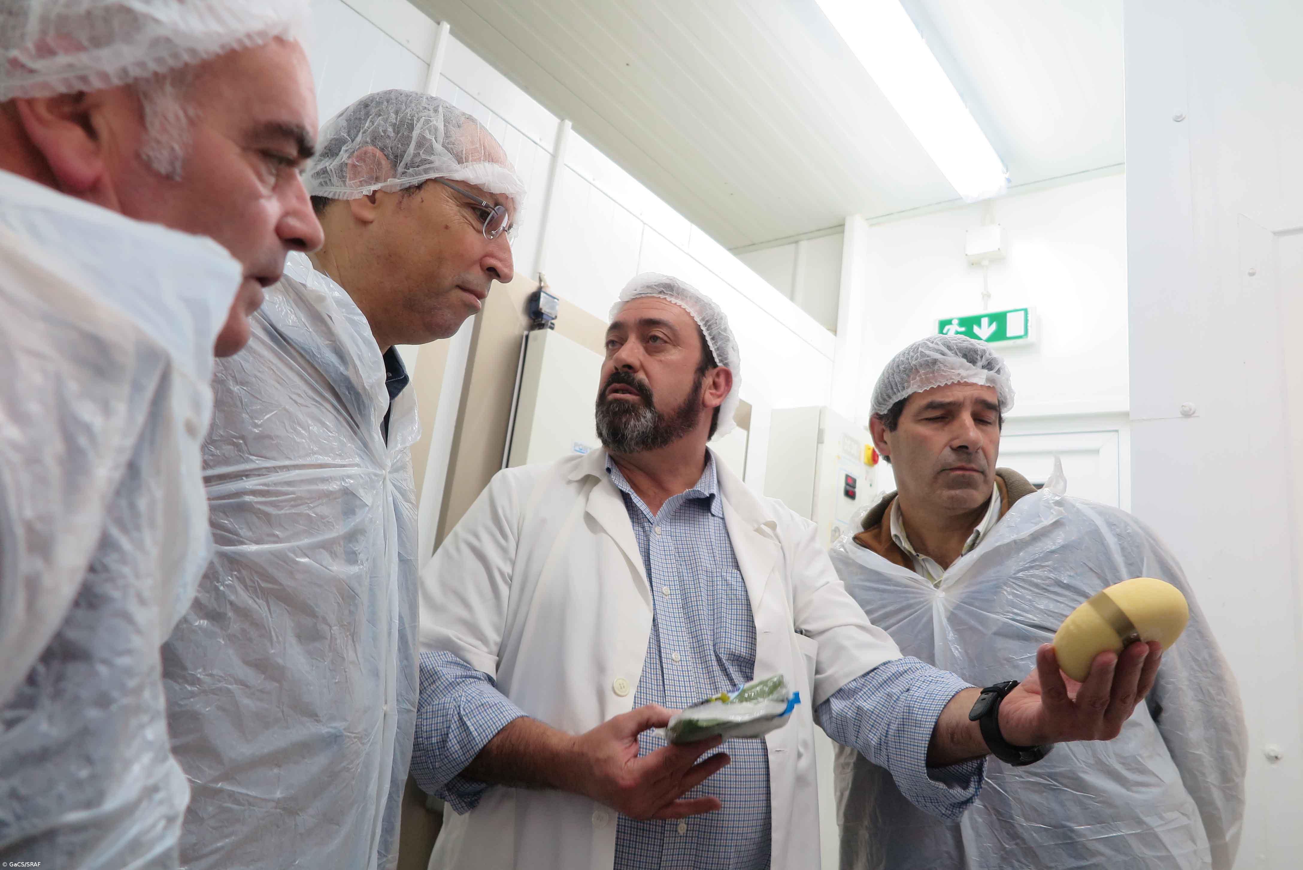 Governo abre aviso no PRORURAL+ para apoio de reforço da capacidade de frio e de cura de queijos – Imagem 1