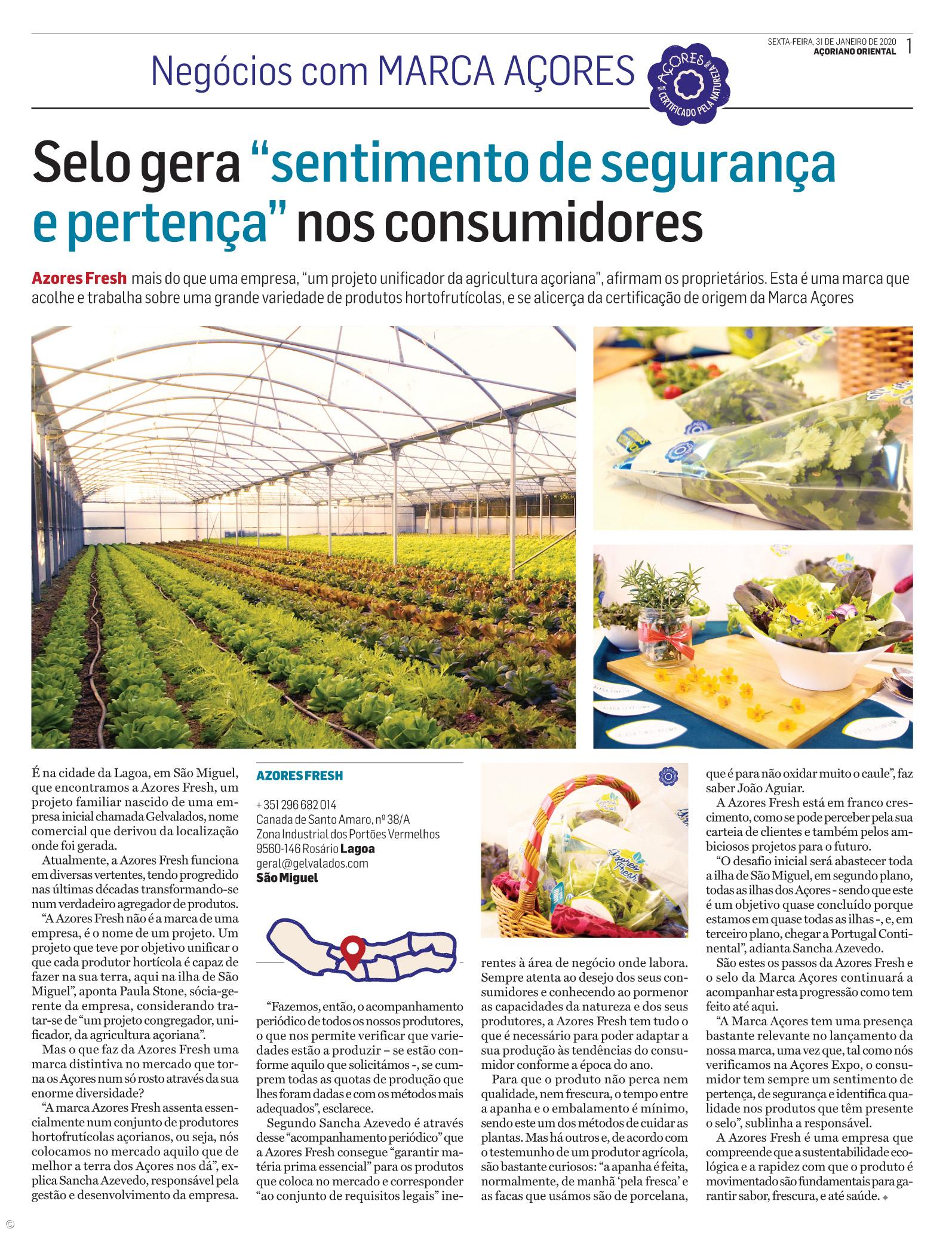 Suplemento Negócios com Marca Açores - janeiro – Imagem 1