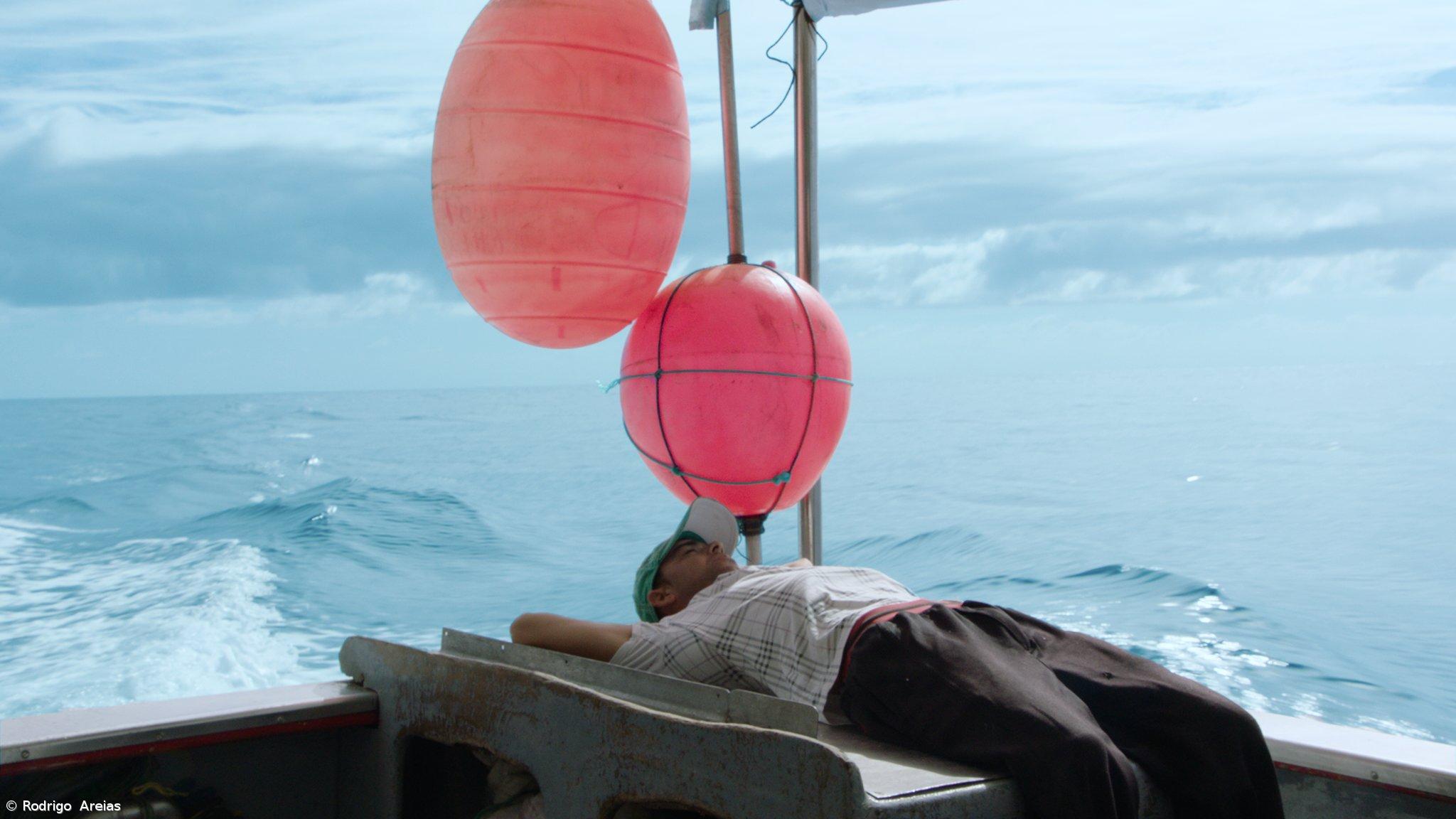 Teatro Micaelense exibe “Hálito Azul” de Rodrigo Areias – Imagem 1