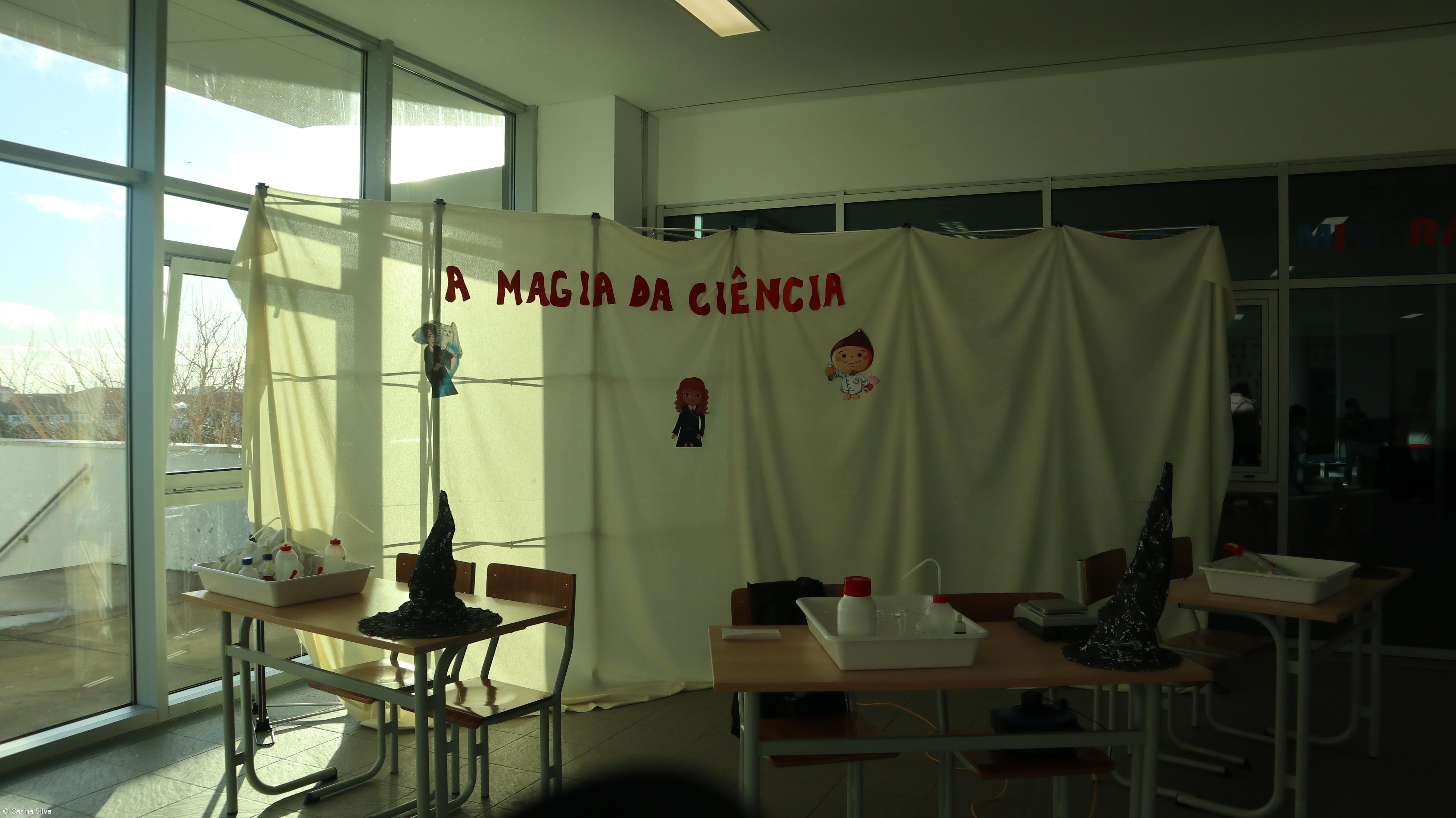 Dia da Autonomia e Flexibilidade Curricular - Ensino Básico - 24 janeiro 2020 – Imagem 11