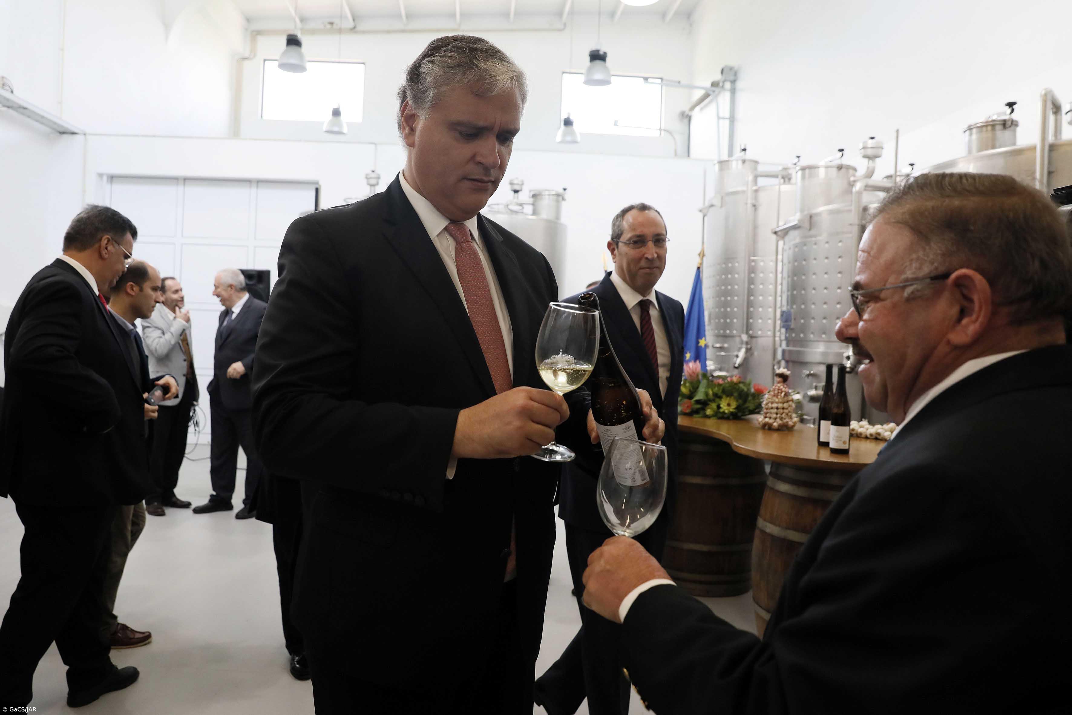 Produtores de vinho nos Açores duplicaram entre 2012 e 2019 – Imagem 1