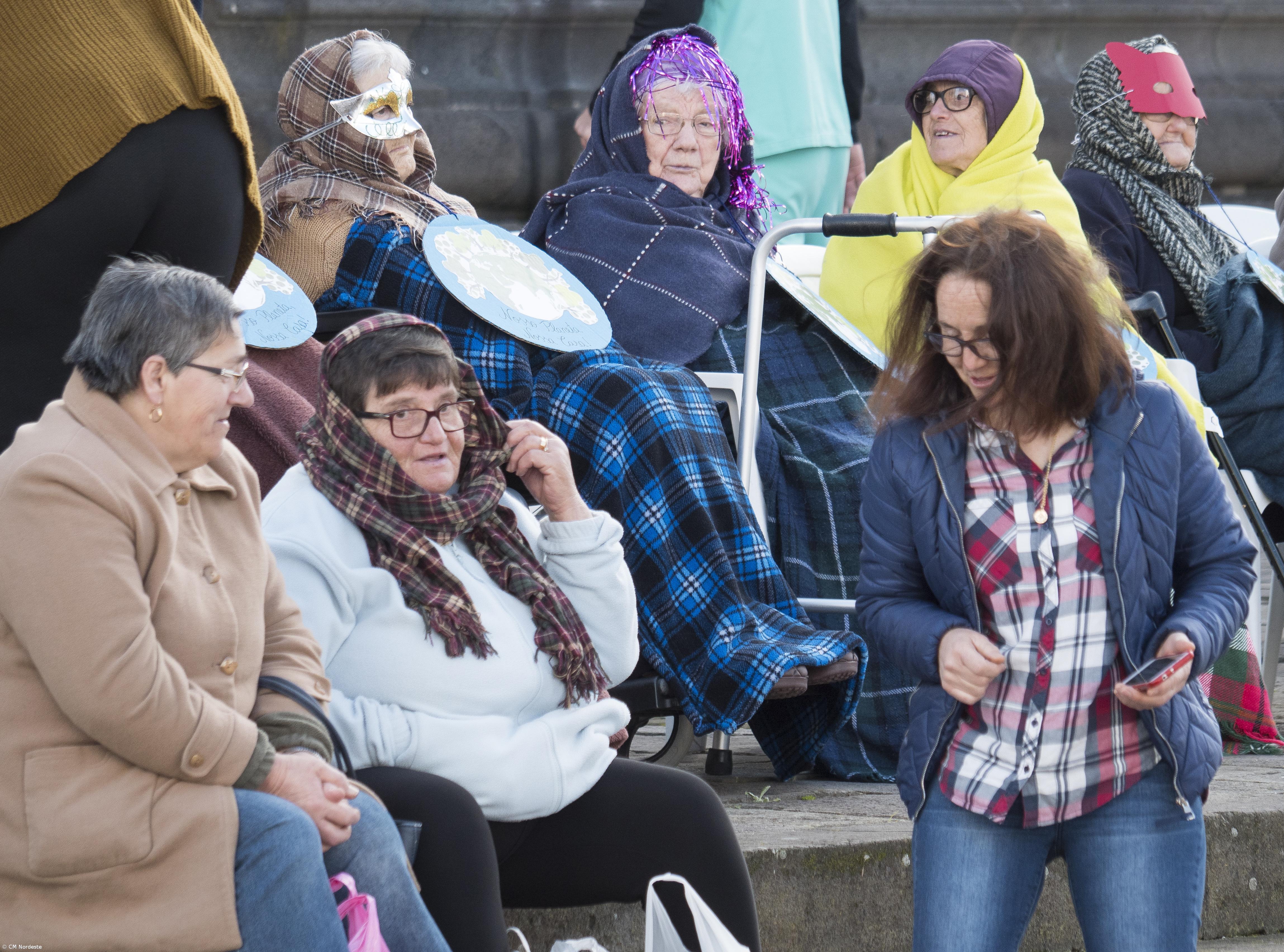 Desafios ecológicos foram tema de cortejo de Carnaval – Imagem 2