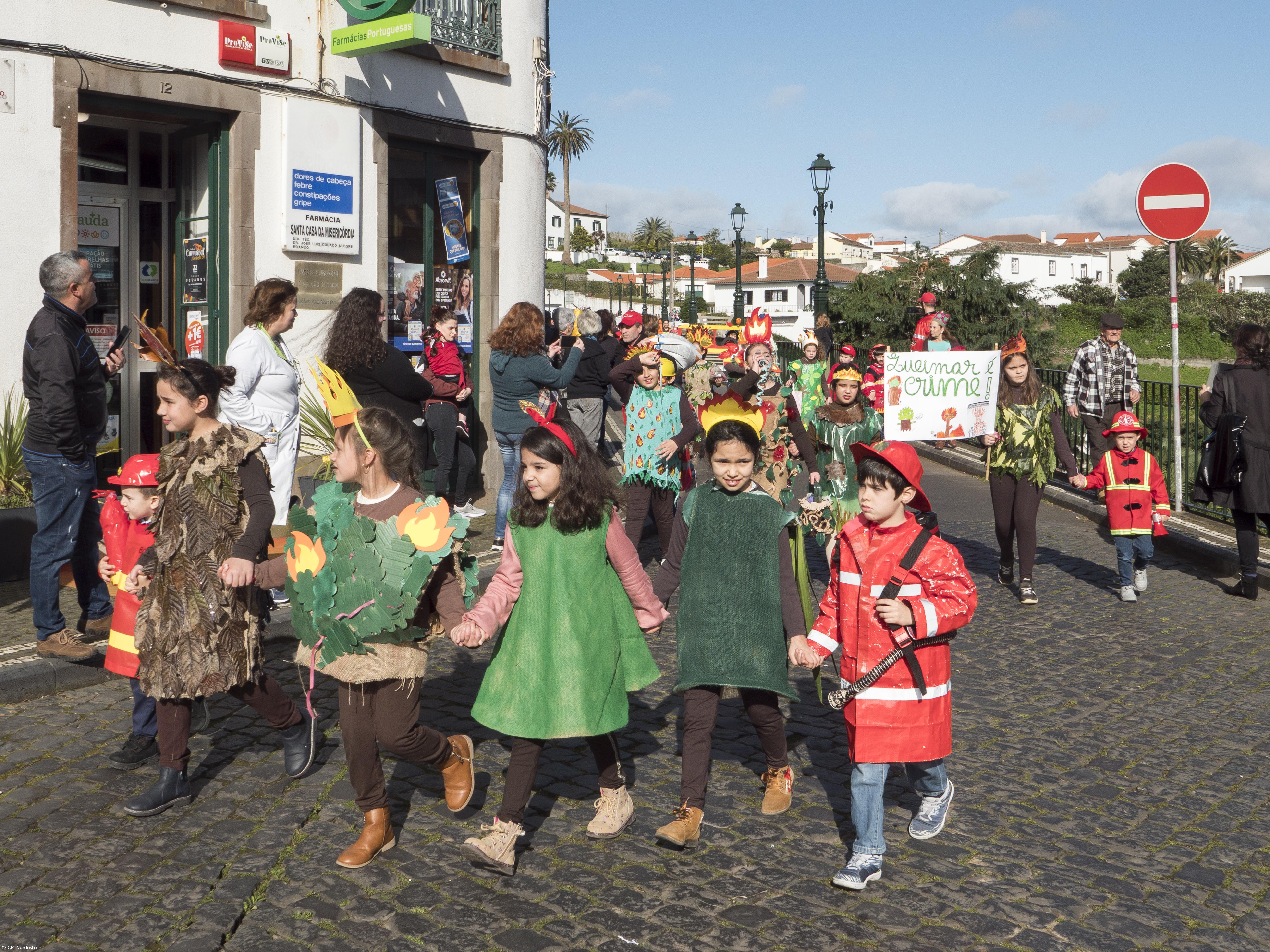Desafios ecológicos foram tema de cortejo de Carnaval – Imagem 4