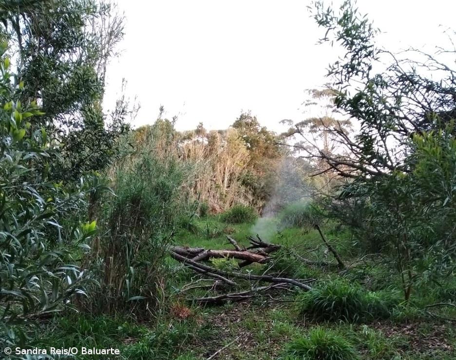 Buraco fumegante causa espanto em Santa Maria  – Imagem 1