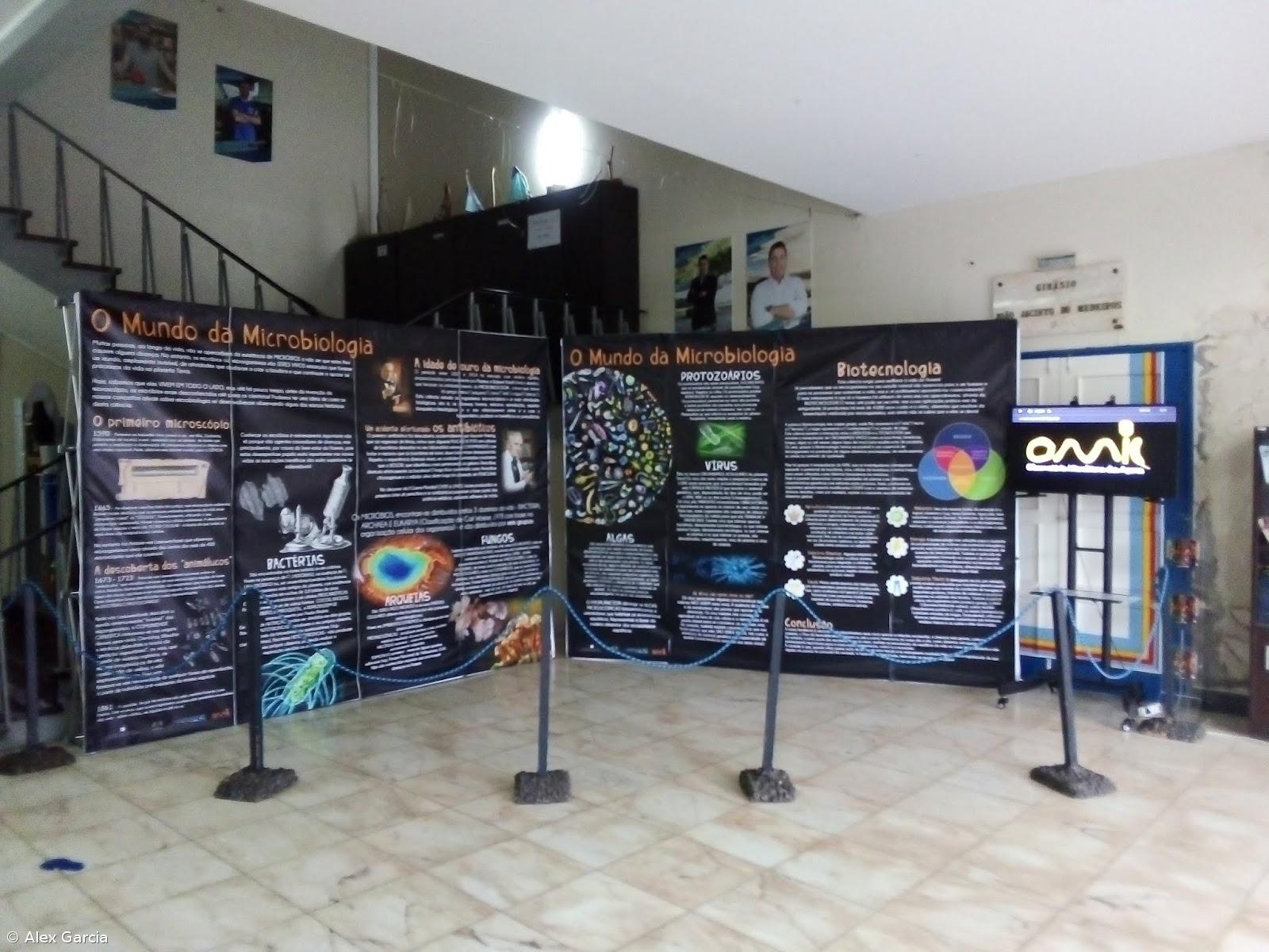 Microbiologia no Mundo – Imagem 1