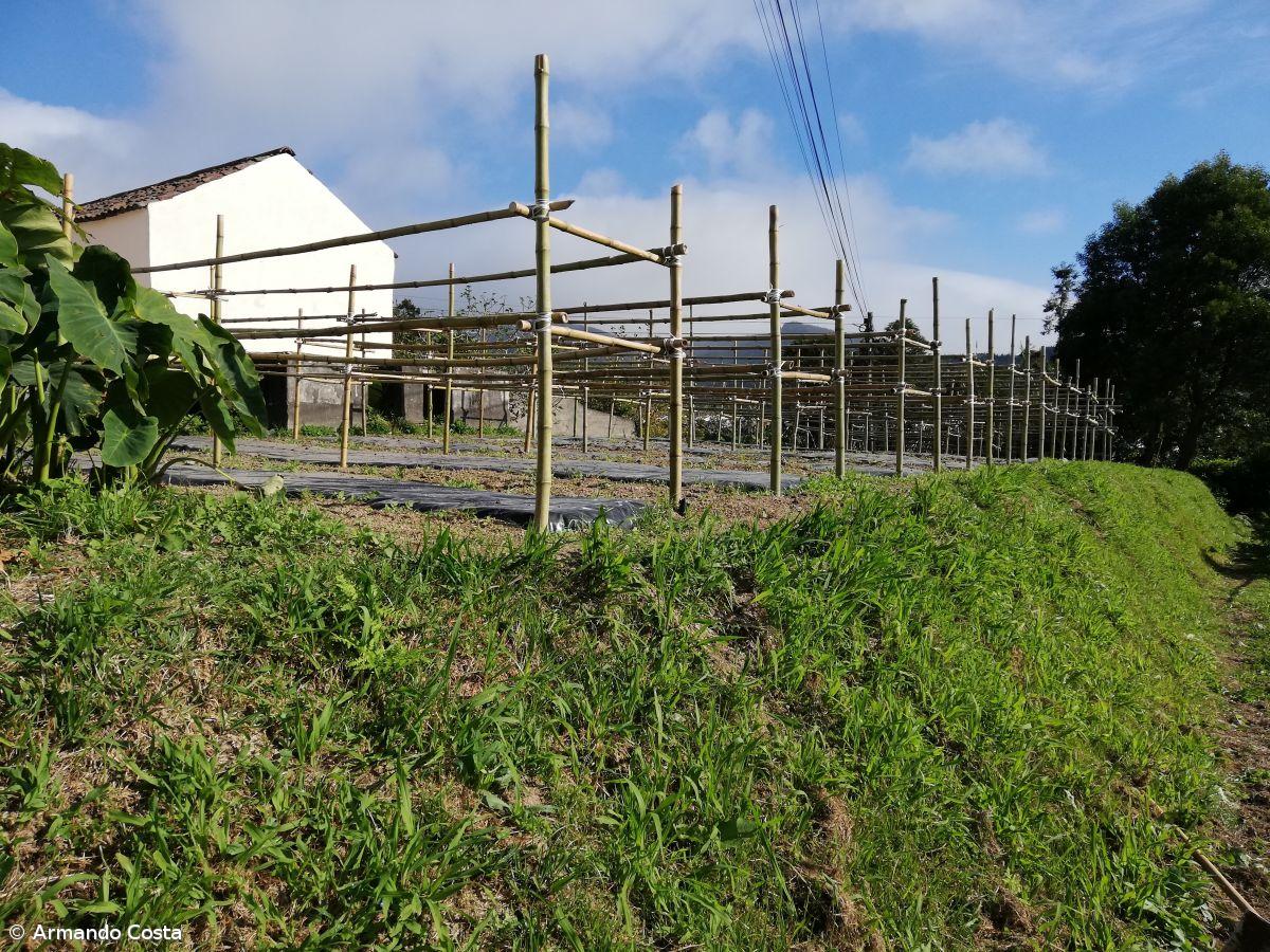 Centro Pedagógico da EBS da Povoação – Imagem 12