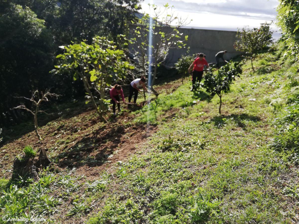 Centro Pedagógico da EBS da Povoação – Imagem 10