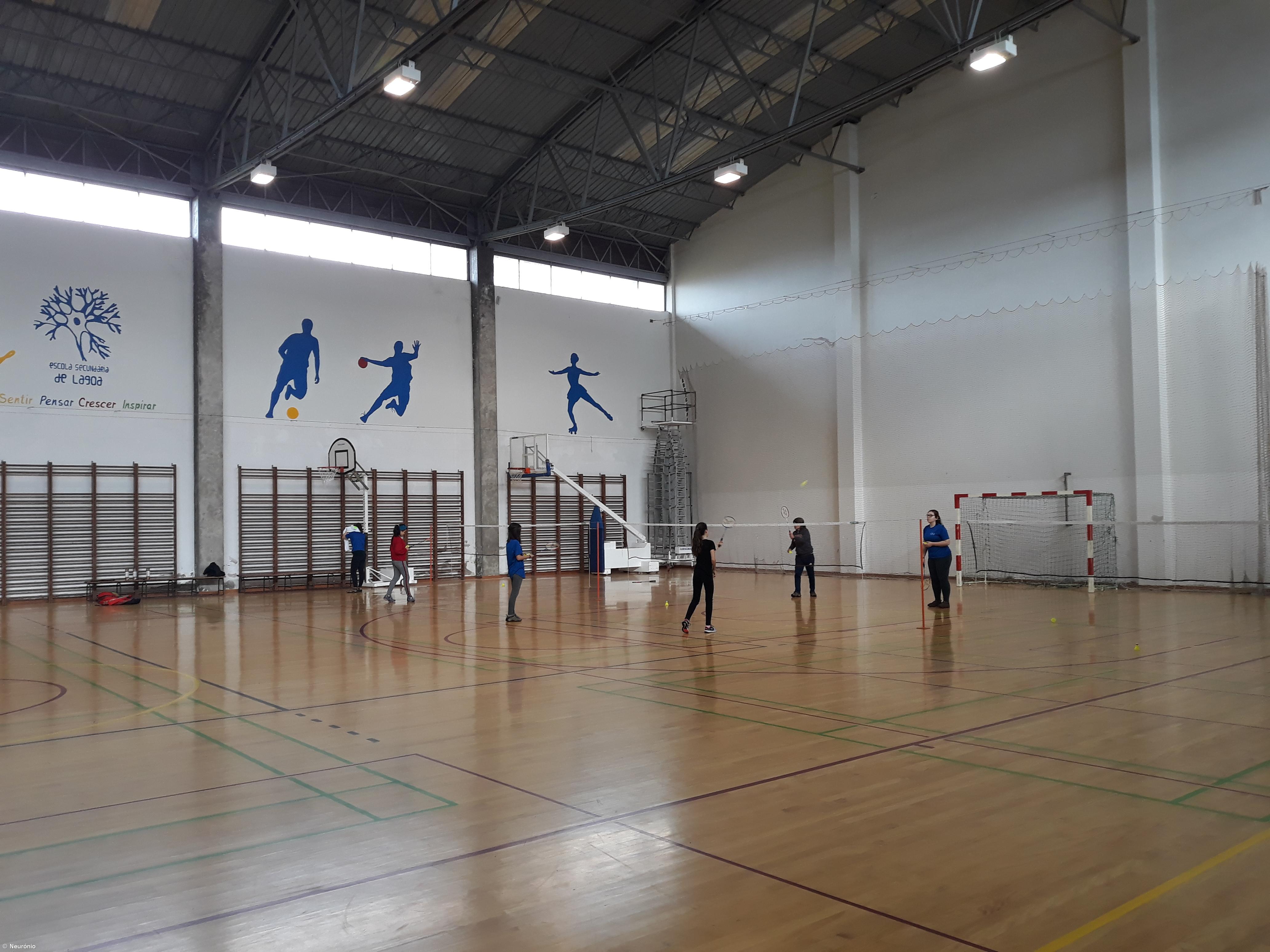 Ensino Especializado em Desporto: aposta ganha! – Imagem 2