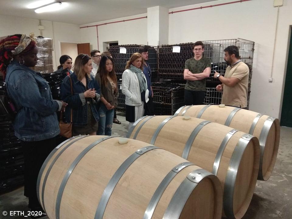 EFTH na rota dos vinhos do Pico e da Madeira – Imagem 4