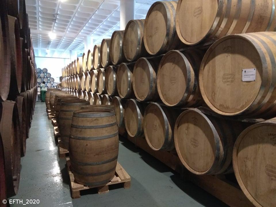 EFTH na rota dos vinhos do Pico e da Madeira – Imagem 8