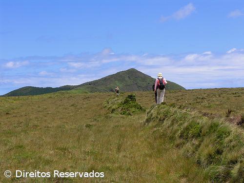 Câmara do Pico paga verbas indevidas a chefe de gabinete – Imagem 1
