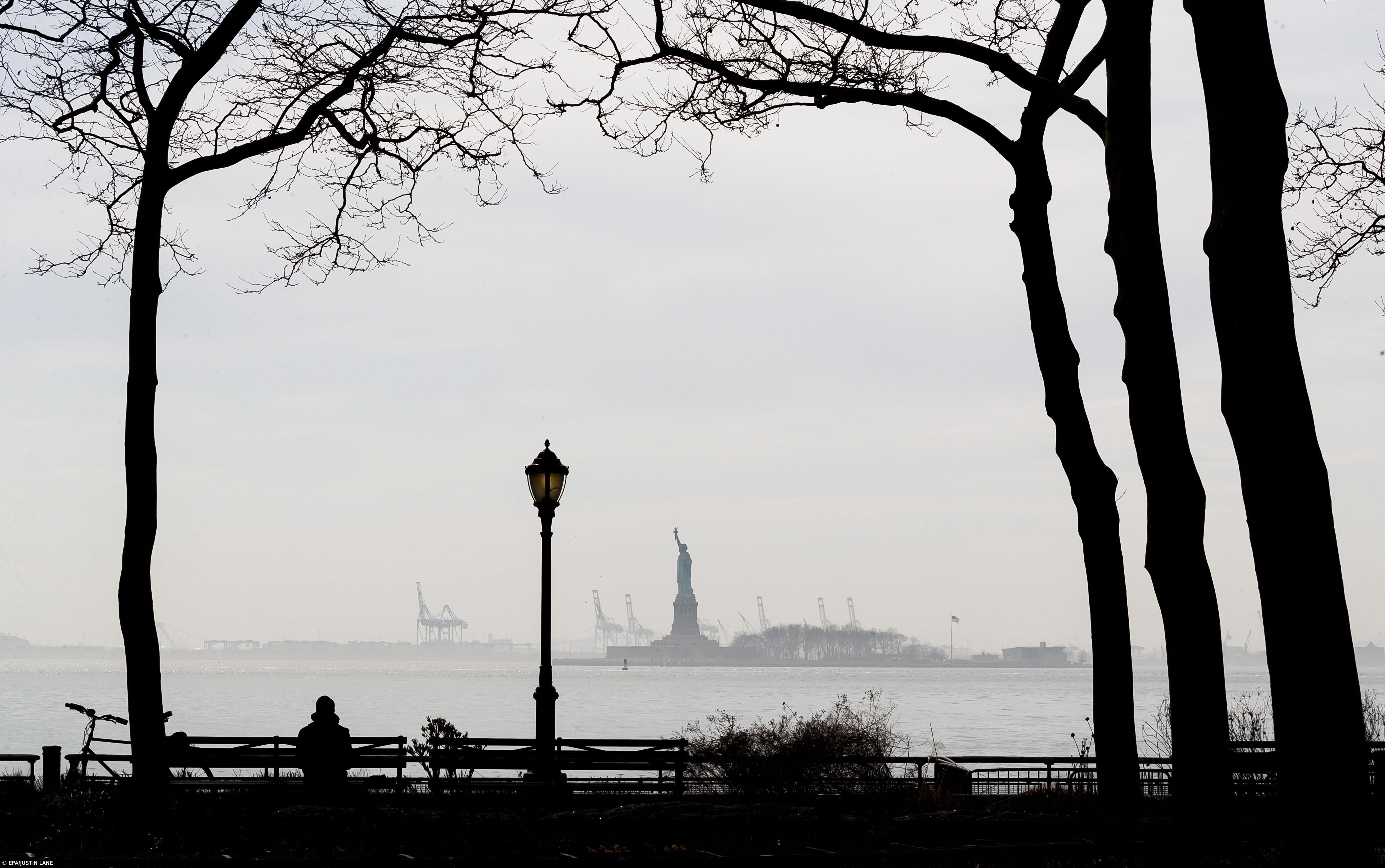 Suspensão da imigração nos EUA vai vigorar durante 60 dias – Imagem 1