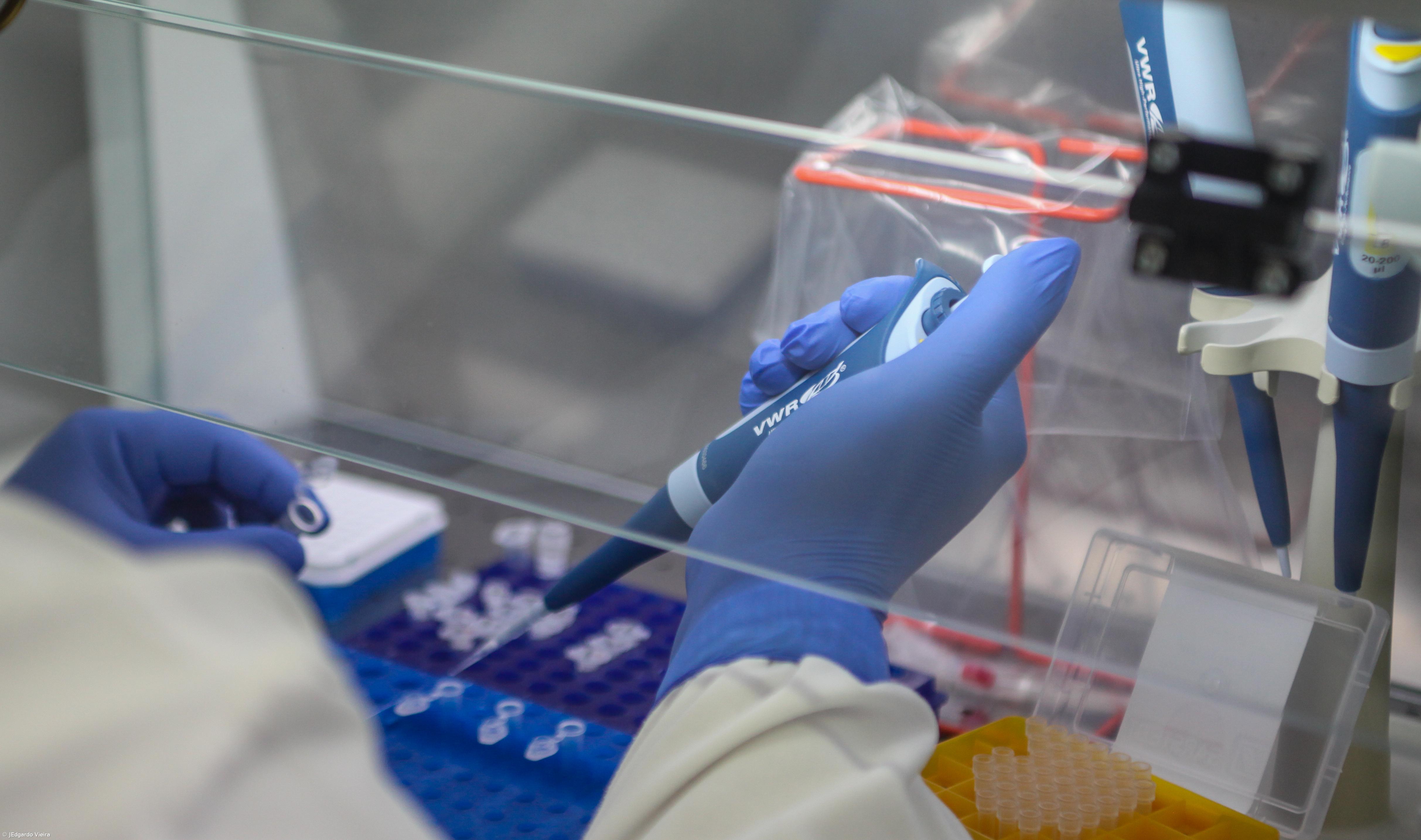 Açores com 13 novos casos nas últimas 24 horas e 11 recuperações – Imagem 1