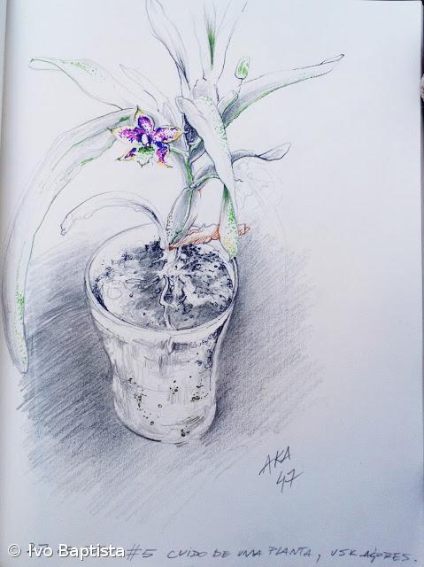 #05 - cuido de uma planta  – Imagem 1