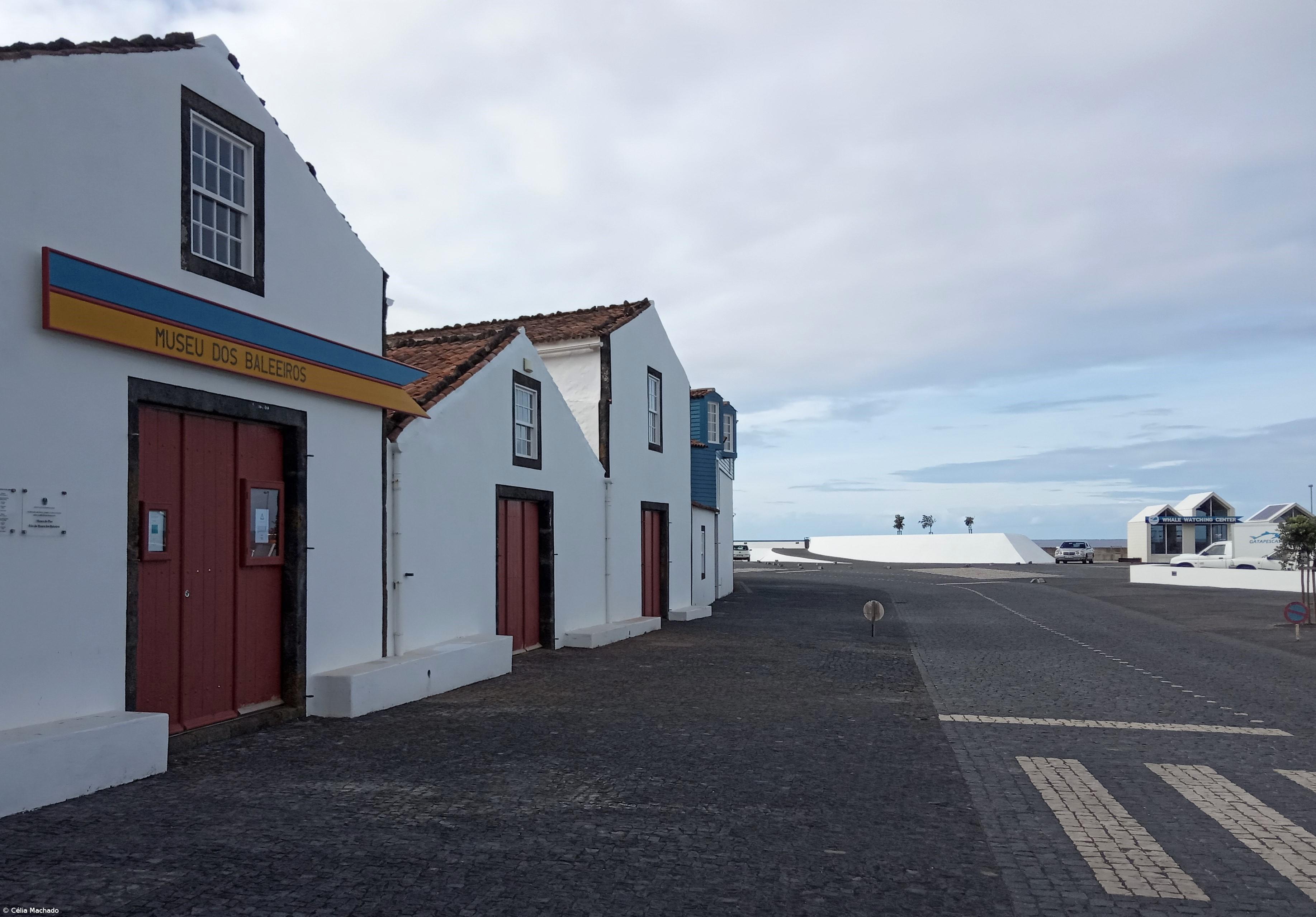 A pandemia no Pico – Imagem 9