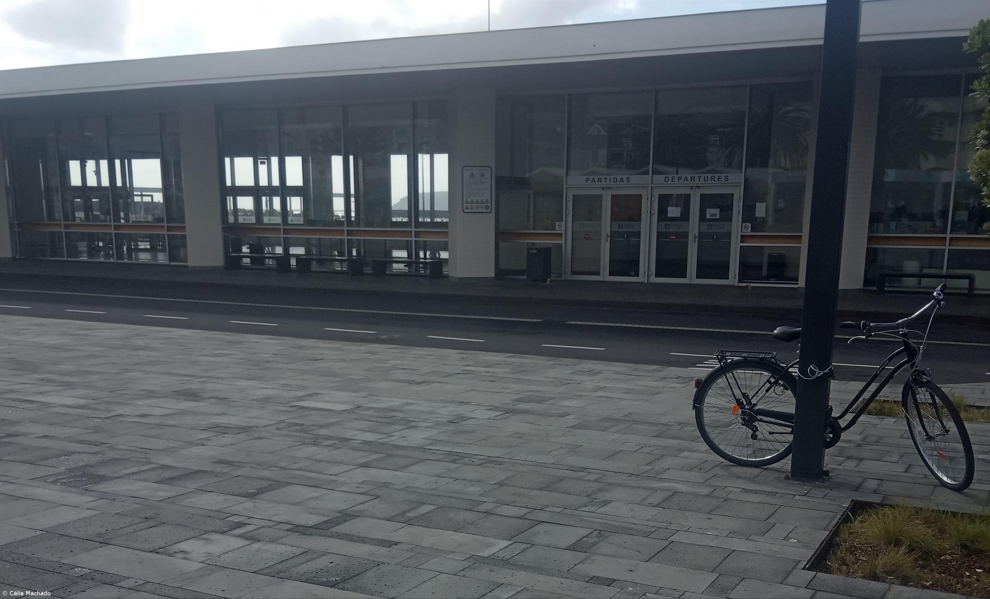 A pandemia no Pico – Imagem 5