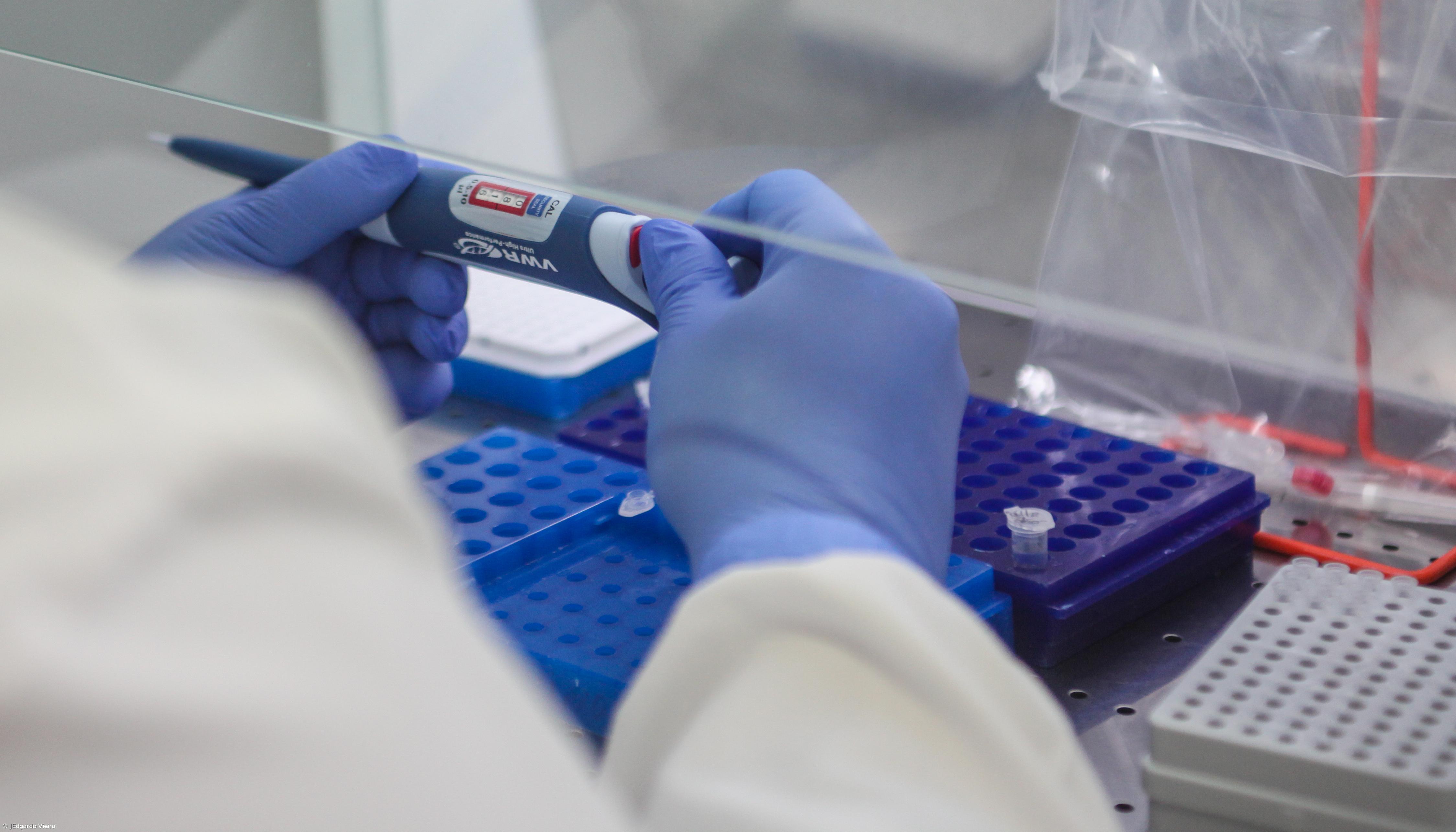 Covid-19: Plano de testagem na região de Lisboa é de 7.000 testes diários – Imagem 1